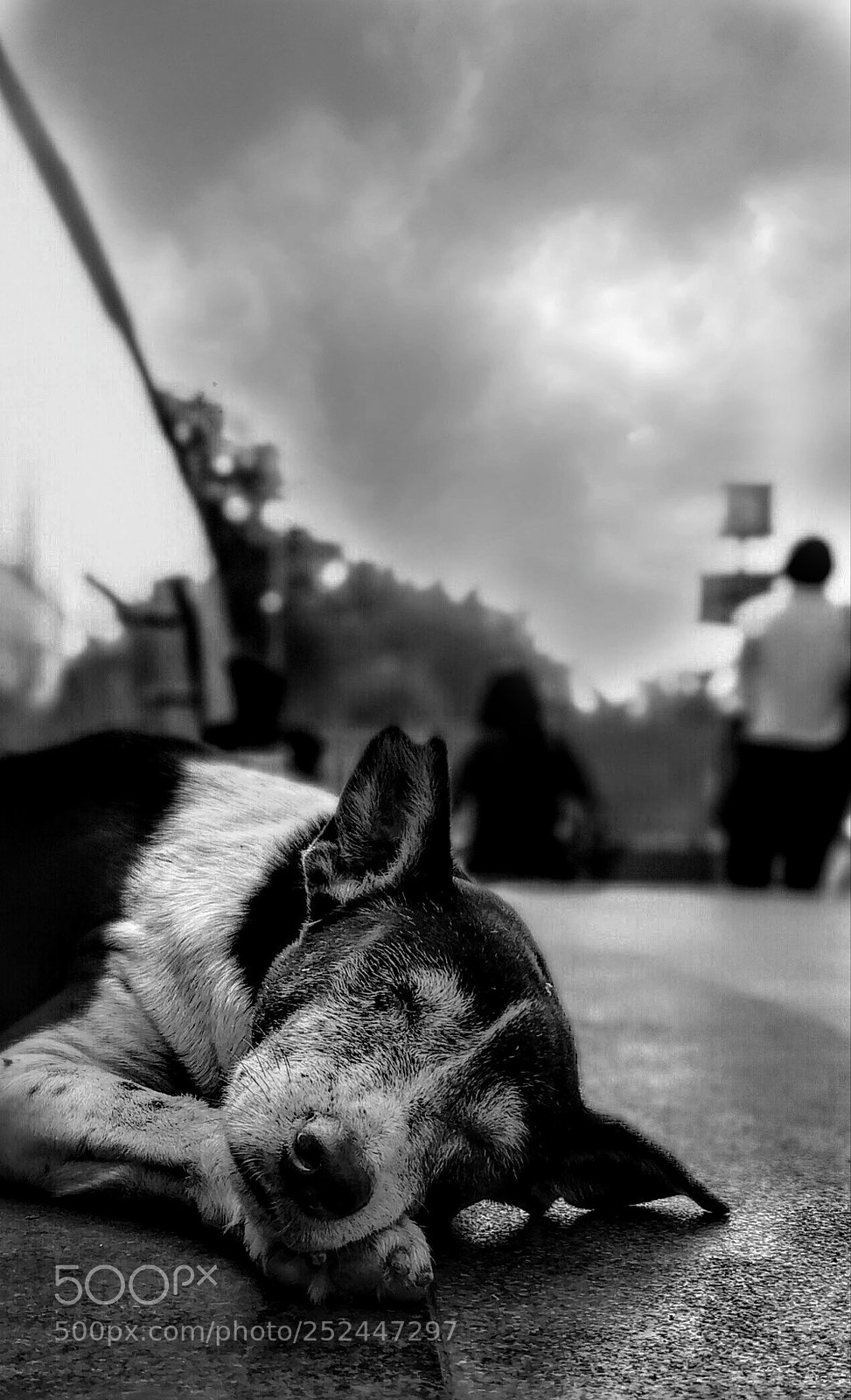 HUAWEI honor 6x sample photo. Untitled photography
