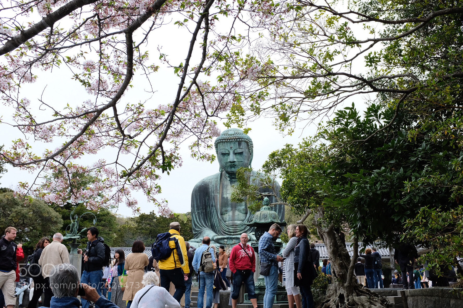 Fujifilm X100F sample photo. Kamakura photography