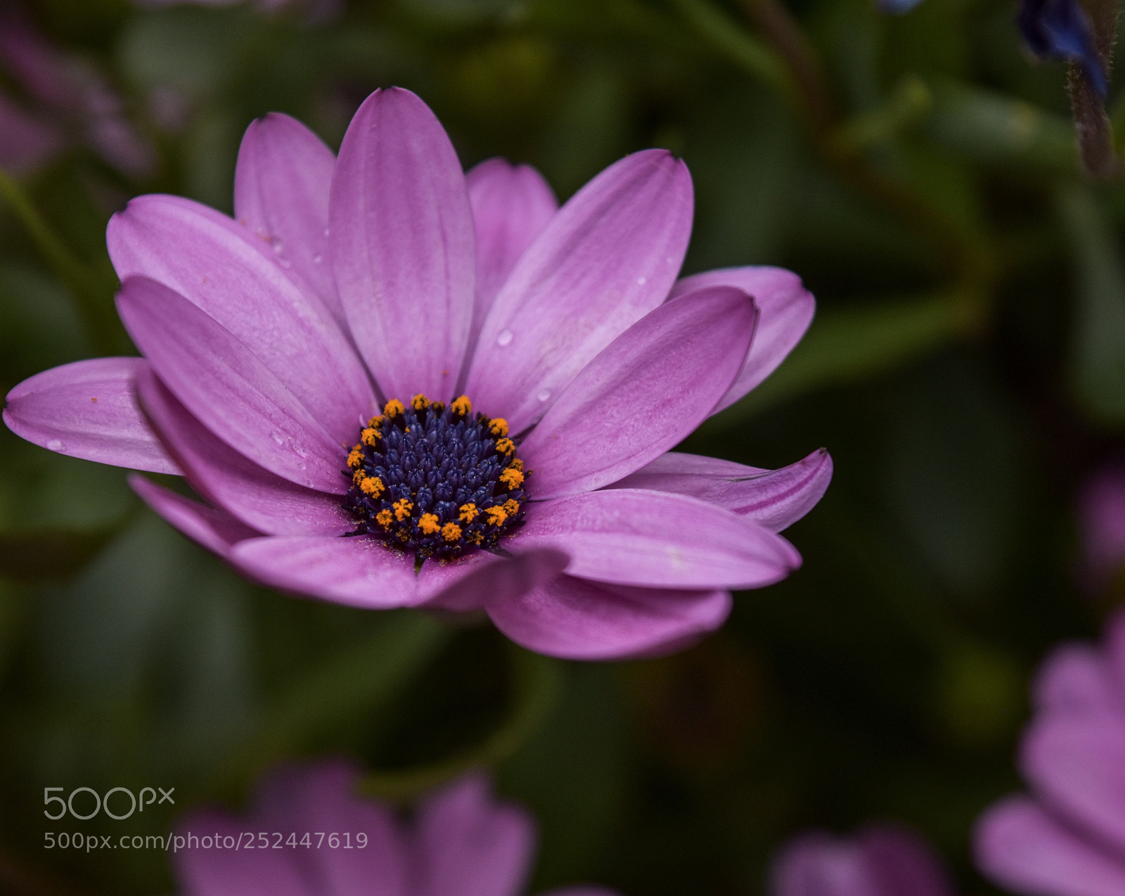 Nikon D5500 sample photo. Untitled photography
