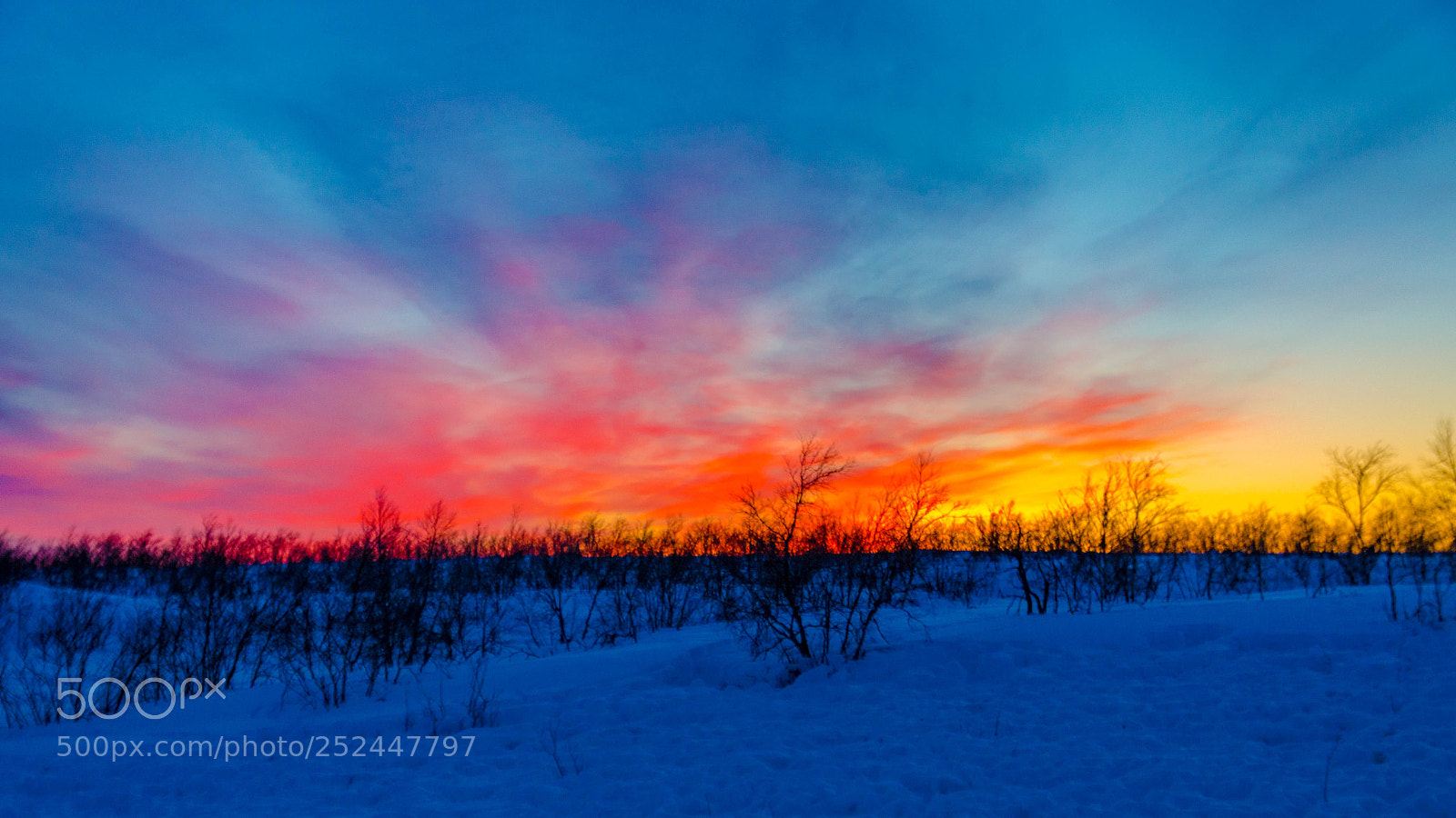 Nikon D7000 sample photo. Winter sunset over the photography