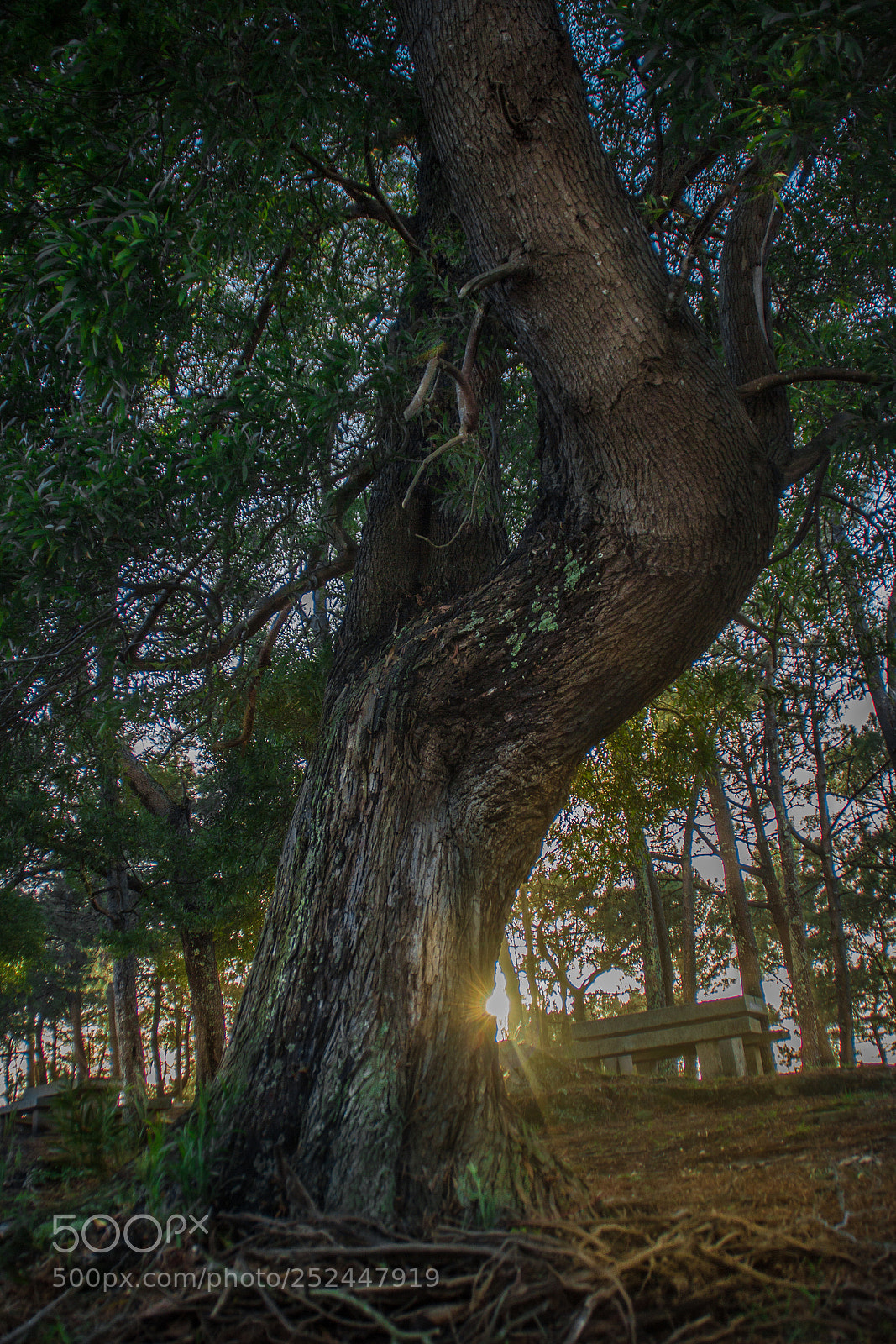 Canon EOS 600D (Rebel EOS T3i / EOS Kiss X5) sample photo. Atardecer en monteferro photography