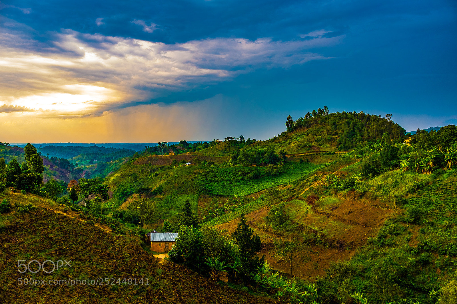 Fujifilm X100T sample photo. Hills of rwanda photography