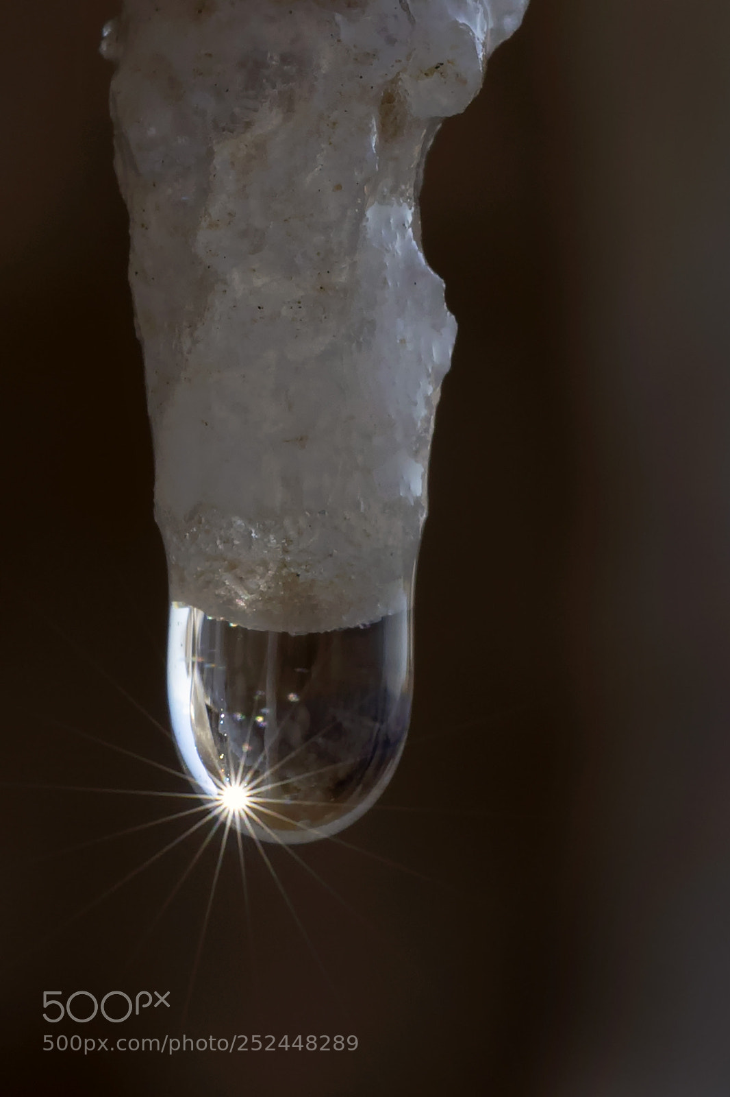 Canon EOS 5D Mark IV sample photo. Drop of water photography