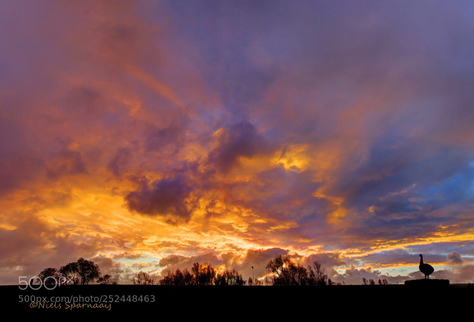 Canon EOS 5D Mark II sample photo. Sky on fire photography