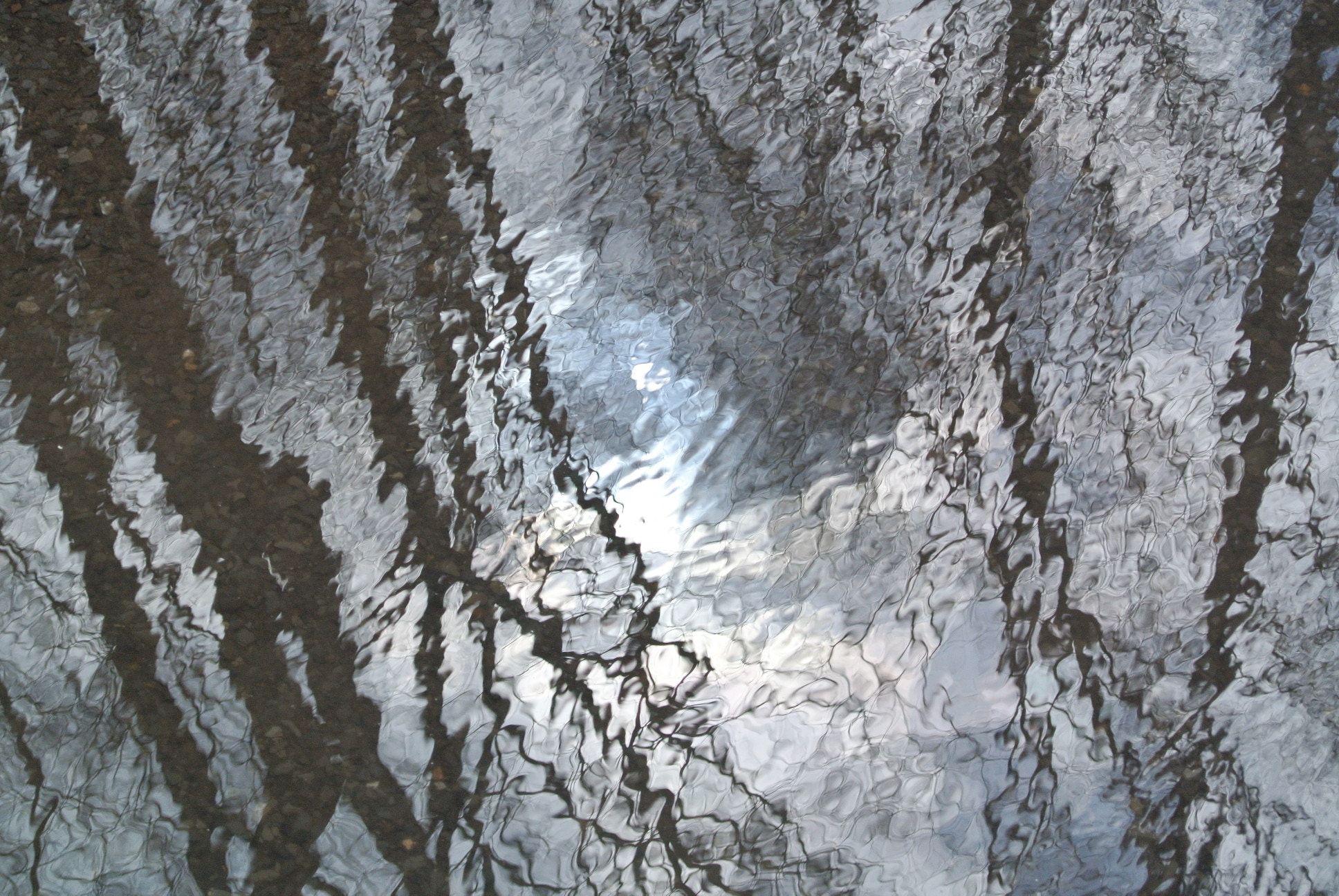 Nikon 1 J1 sample photo. Reflected sun photography