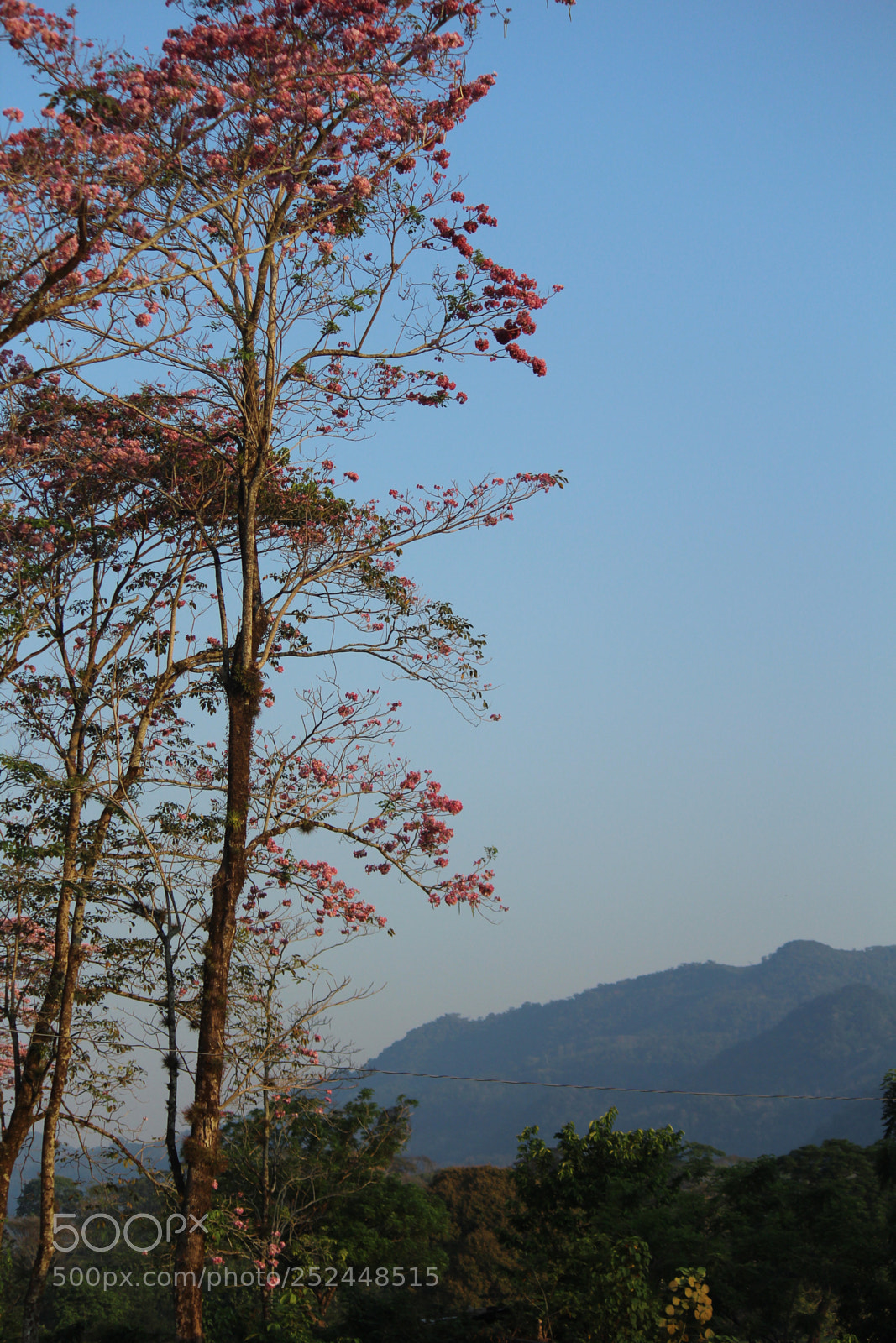 Canon EOS 1200D (EOS Rebel T5 / EOS Kiss X70 / EOS Hi) sample photo. Untitled photography