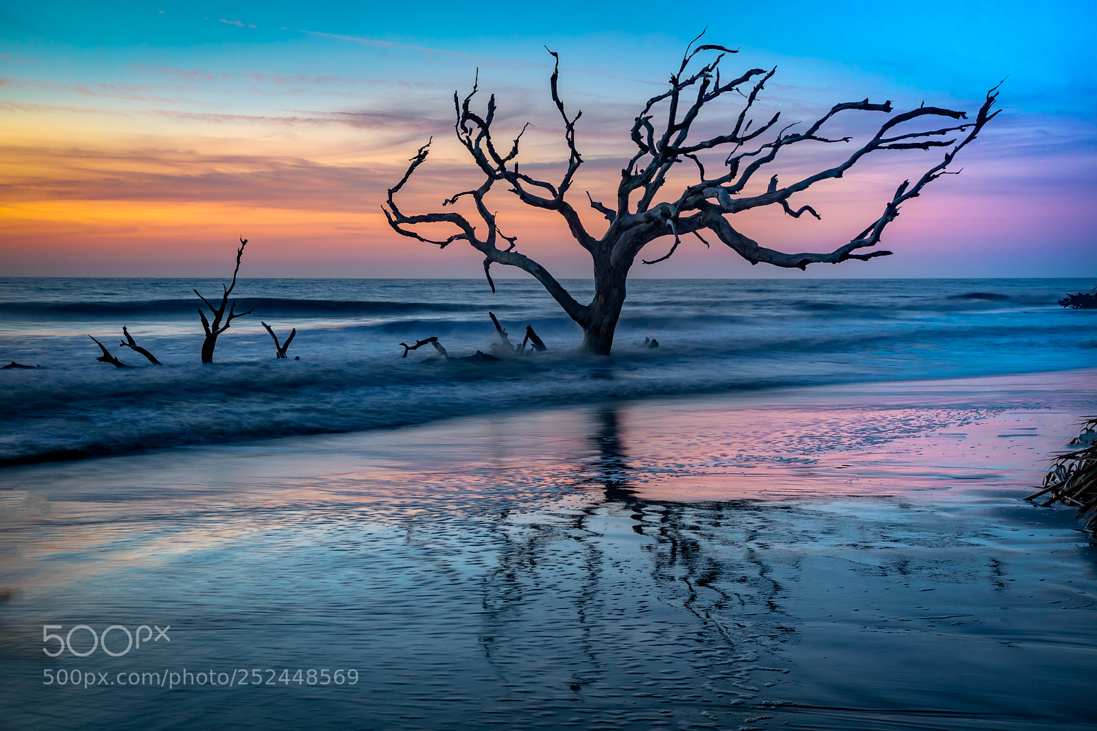 Canon EOS 5D Mark IV sample photo. Driftwood beach photography