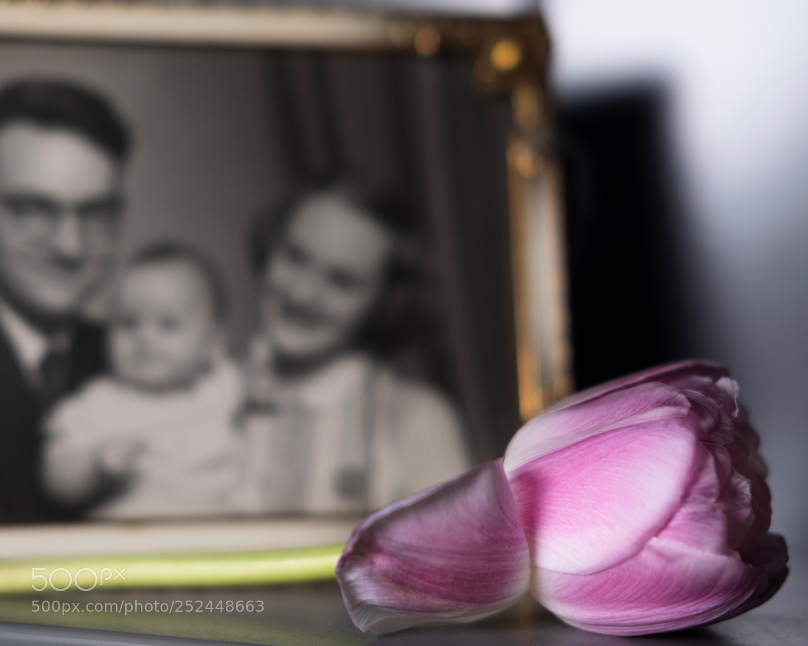 Fujifilm X-T2 sample photo. Family history  photography
