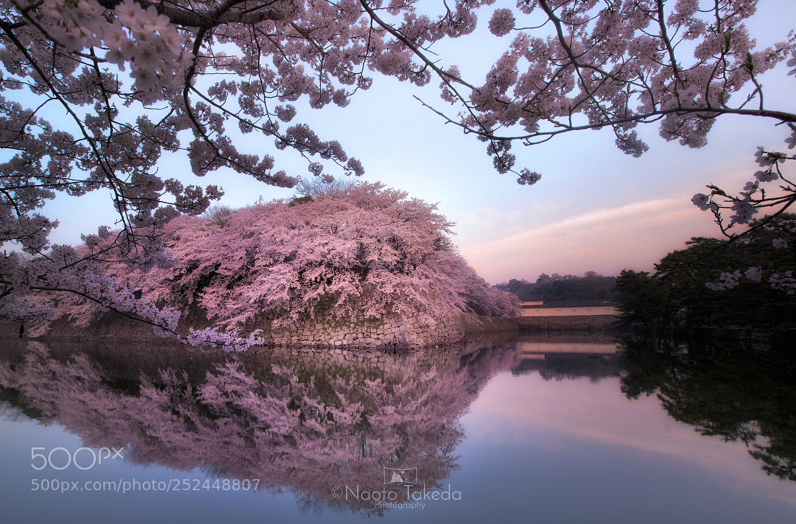 Nikon D800E sample photo. Mirror spring photography