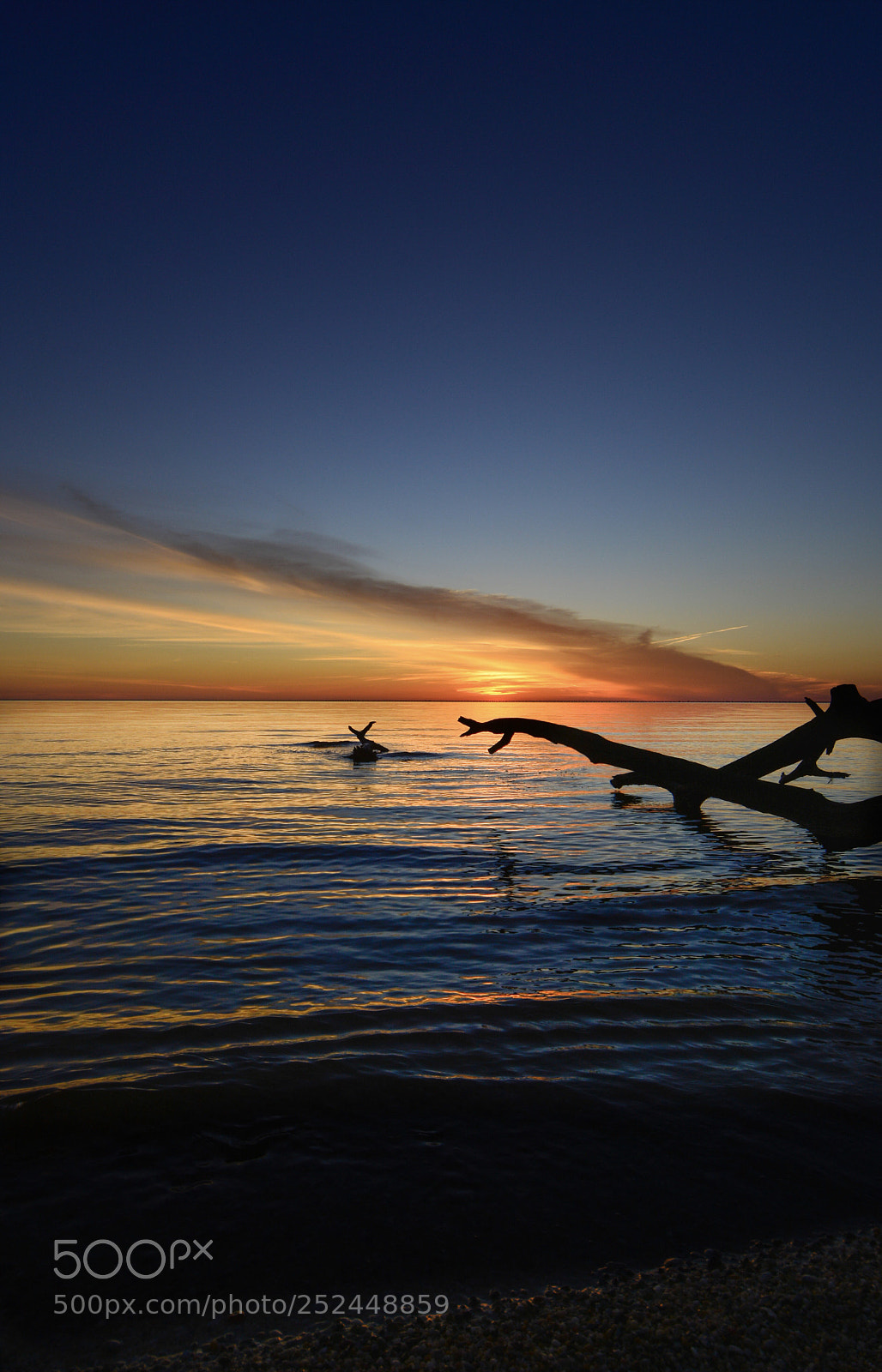 Nikon D7100 sample photo. Sunset at fontainebleau photography
