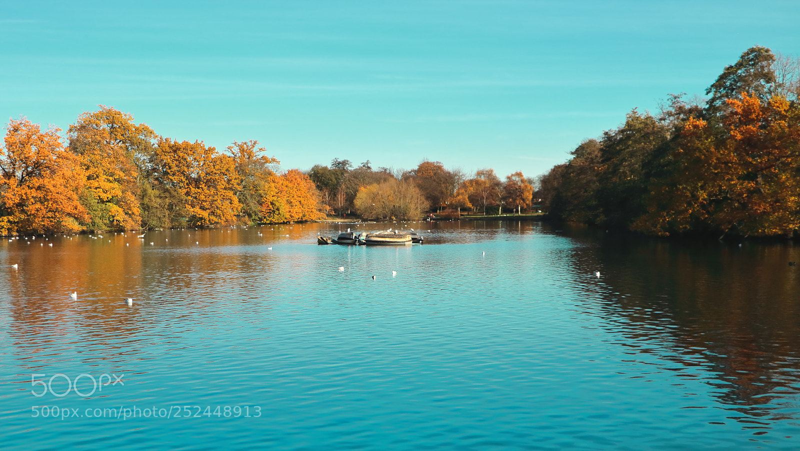 Canon EOS 70D sample photo. Sunny day on the photography