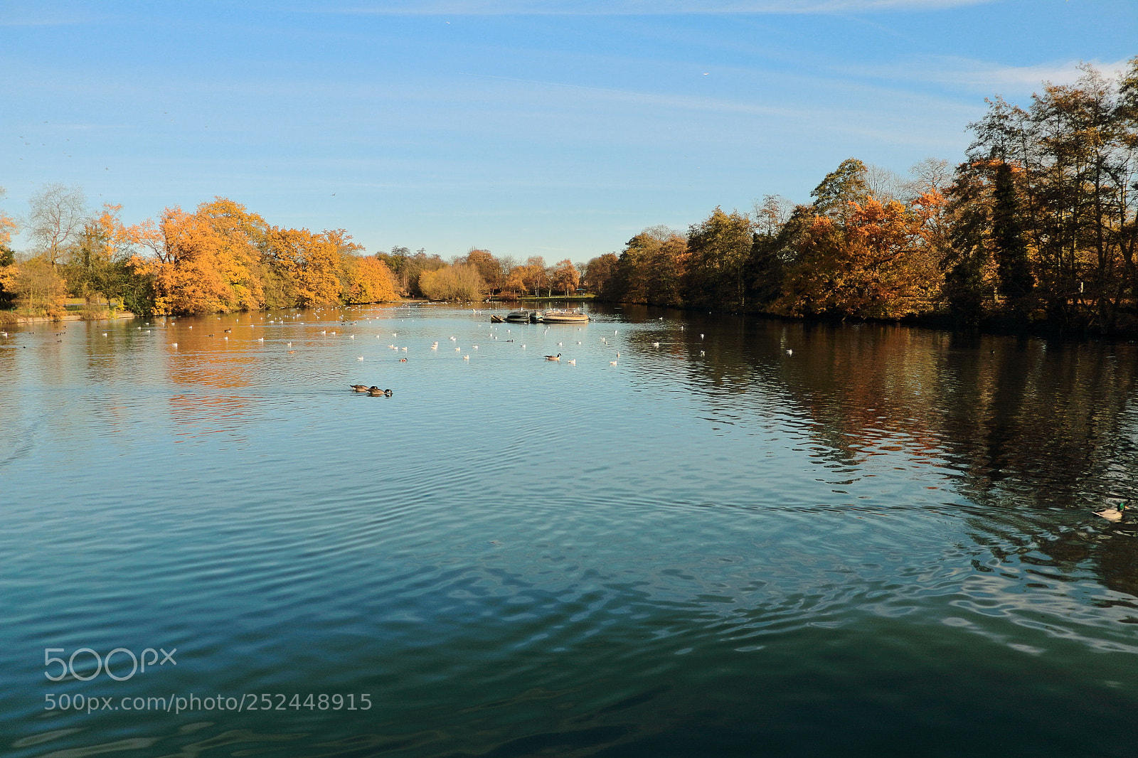 Canon EOS 70D sample photo. Sky reflection on the photography
