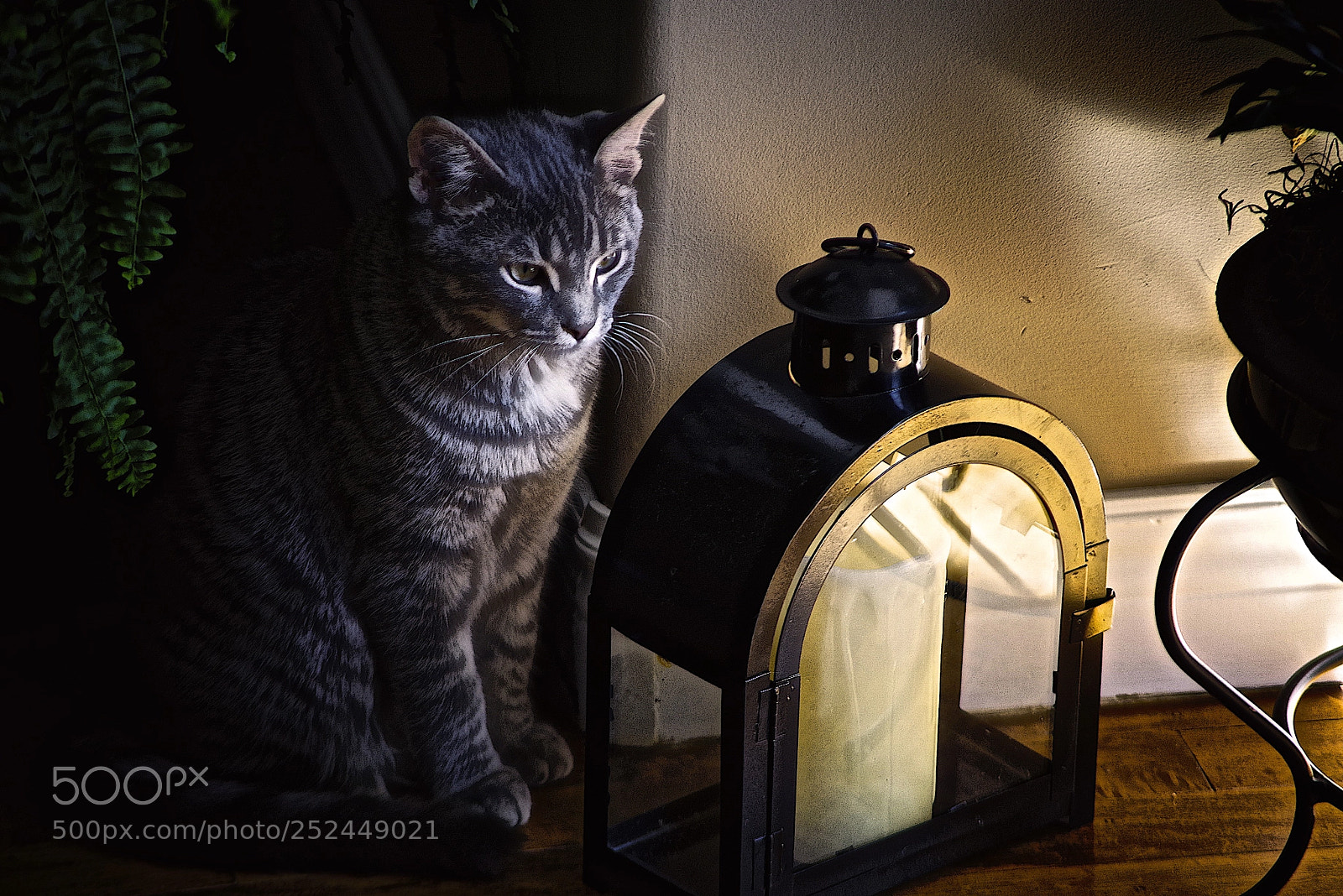Pentax K-1 sample photo. Come into the light photography