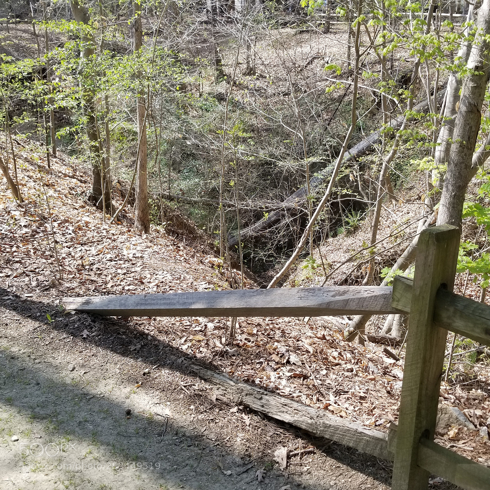 Samsung Galaxy S8 sample photo. Fallen photography