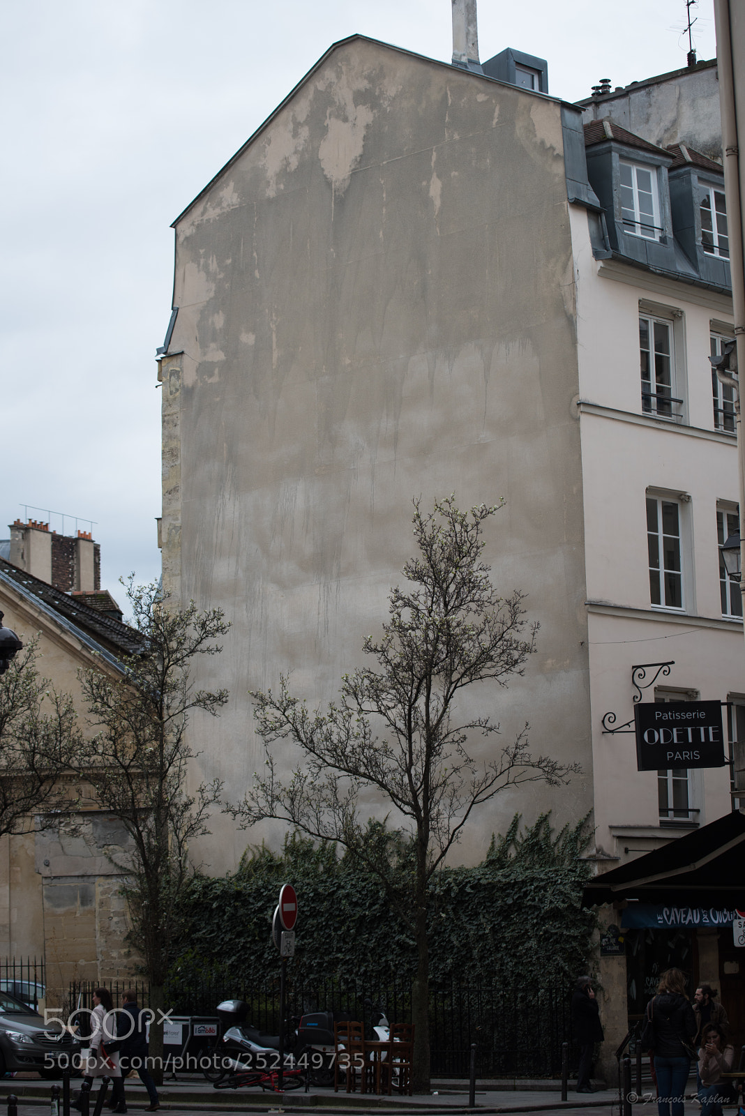 Nikon D810 sample photo. Dsc photography