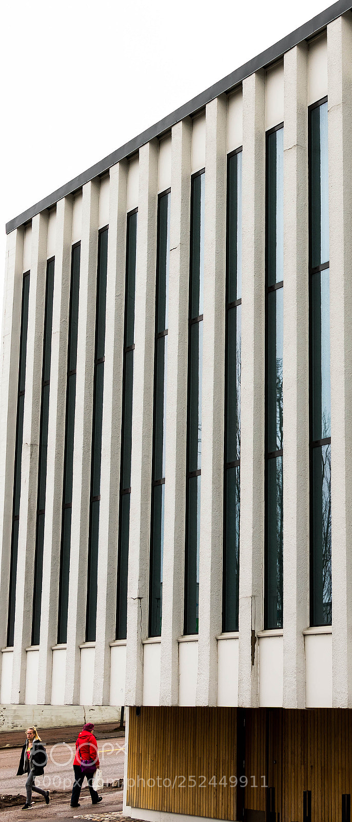 Nikon D3400 sample photo. Lines n stares photography