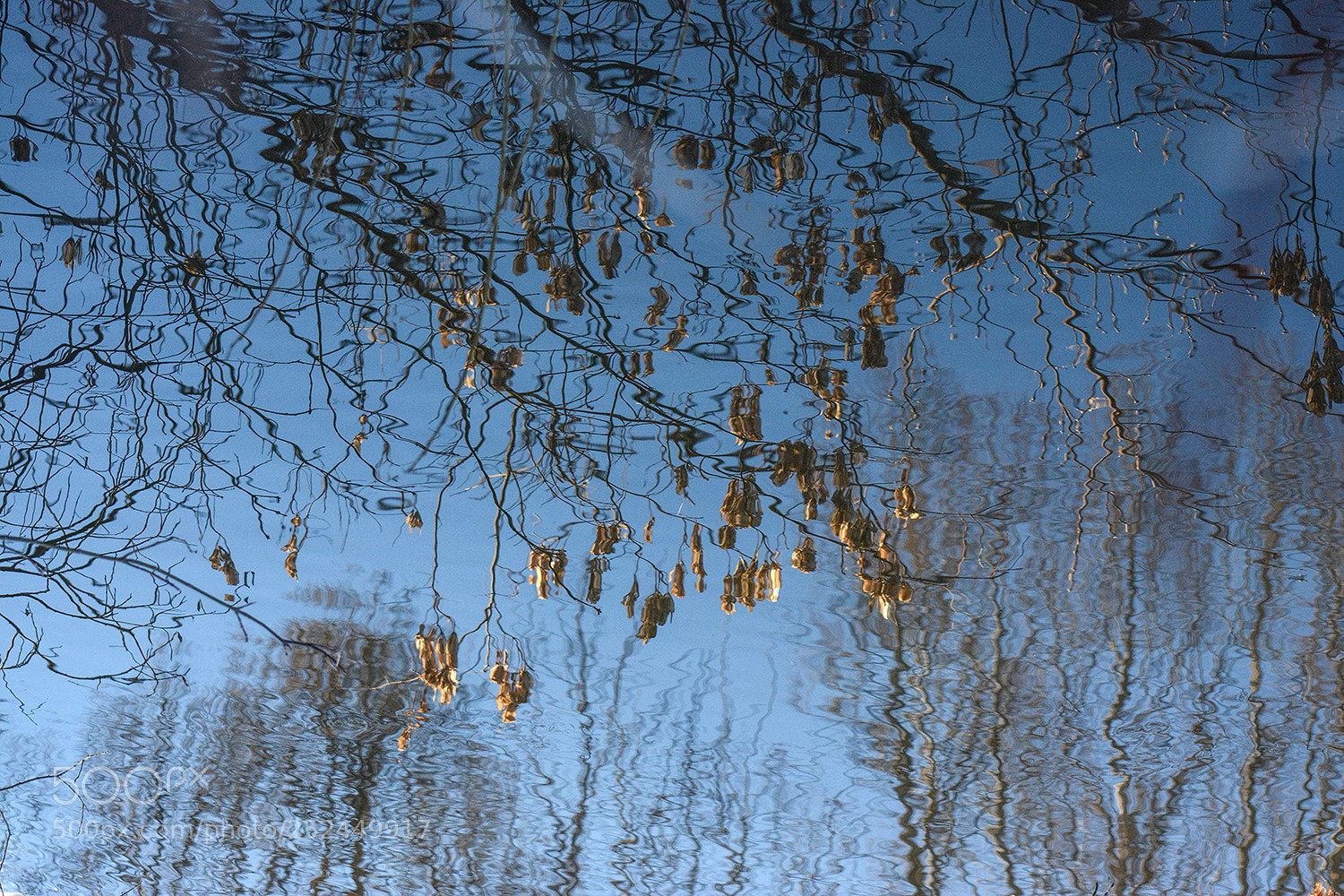 Nikon D7100 sample photo. Прикосновение миров... photography