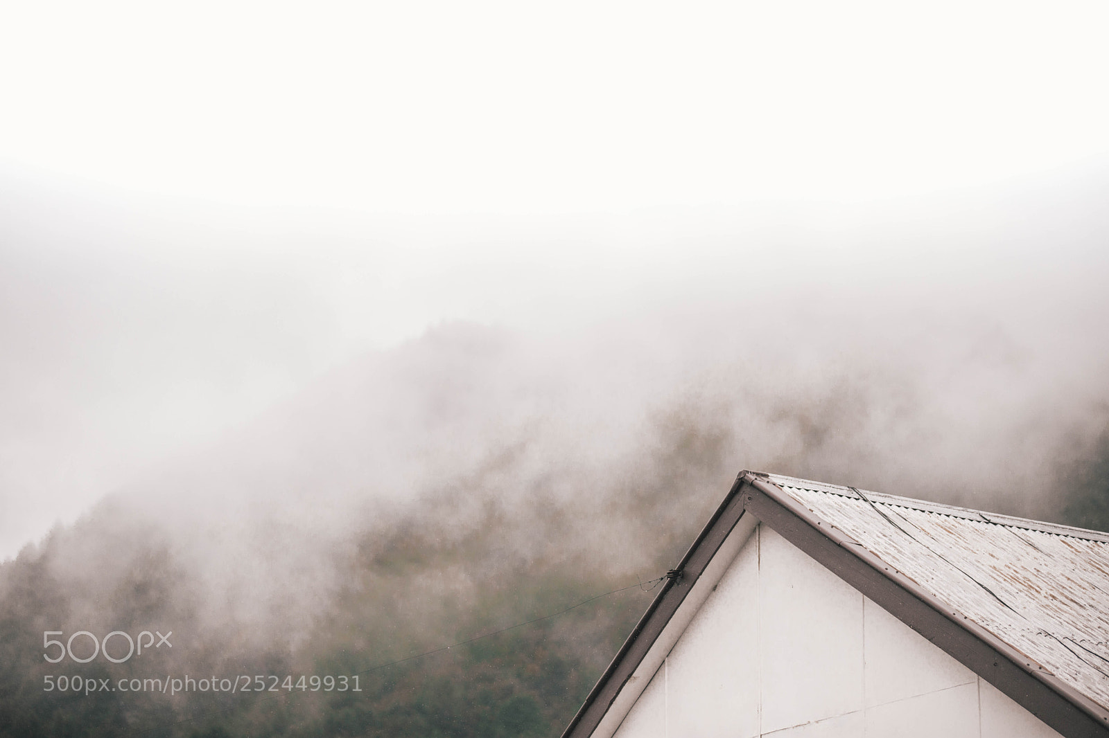 Canon EOS 6D Mark II sample photo. Foggy photography