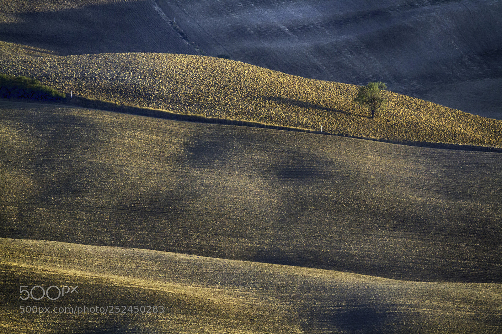 Canon EOS 7D sample photo. L'albero photography