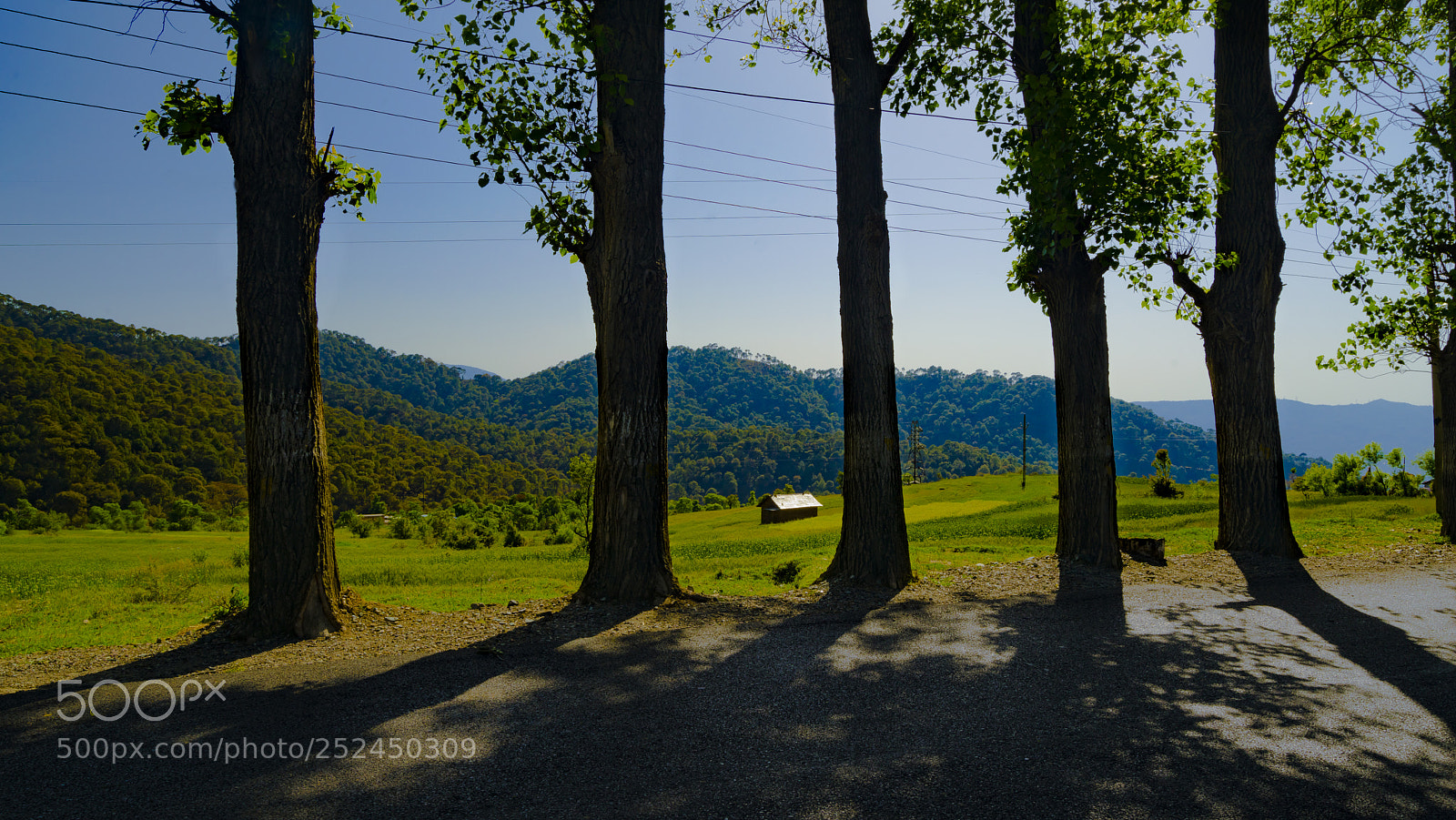 Sony a7R sample photo. Dsc photography
