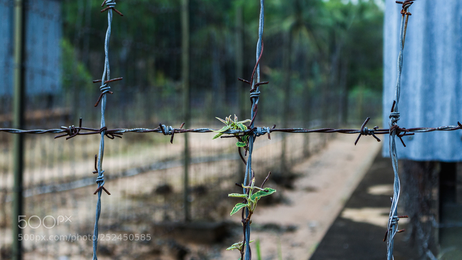 Canon EOS 700D (EOS Rebel T5i / EOS Kiss X7i) sample photo. ... photography