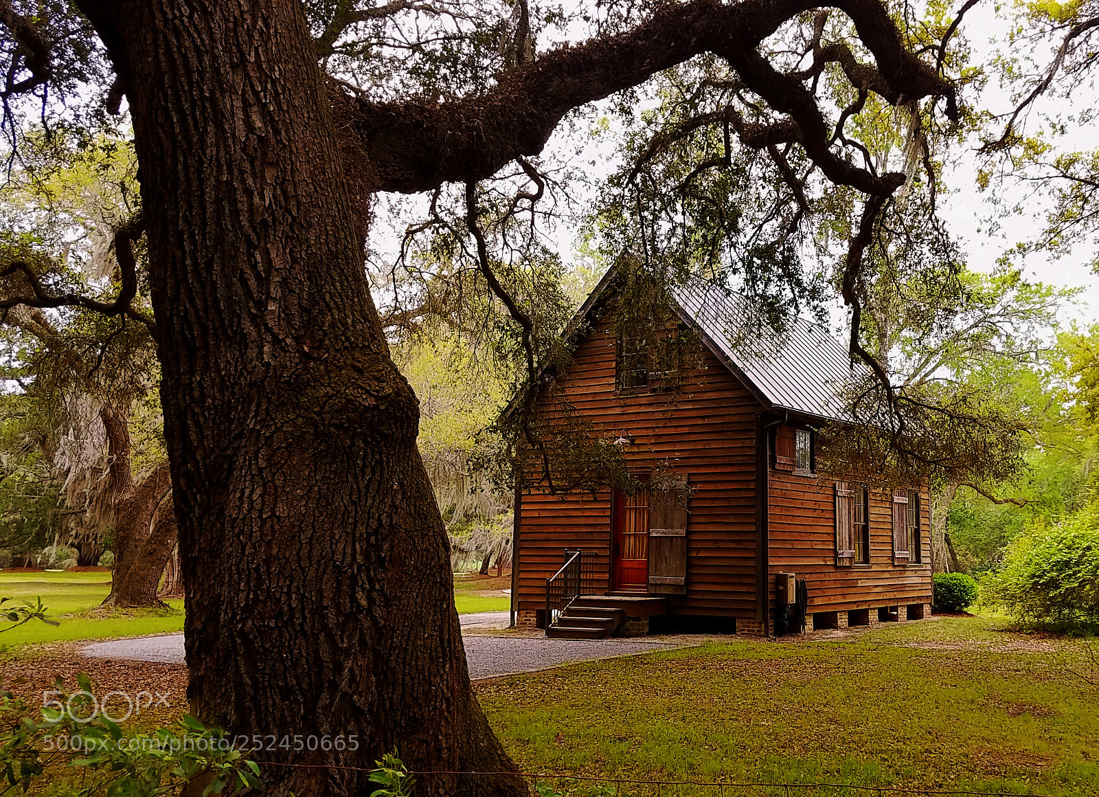 Samsung Galaxy S7 sample photo. Low country cabin photography