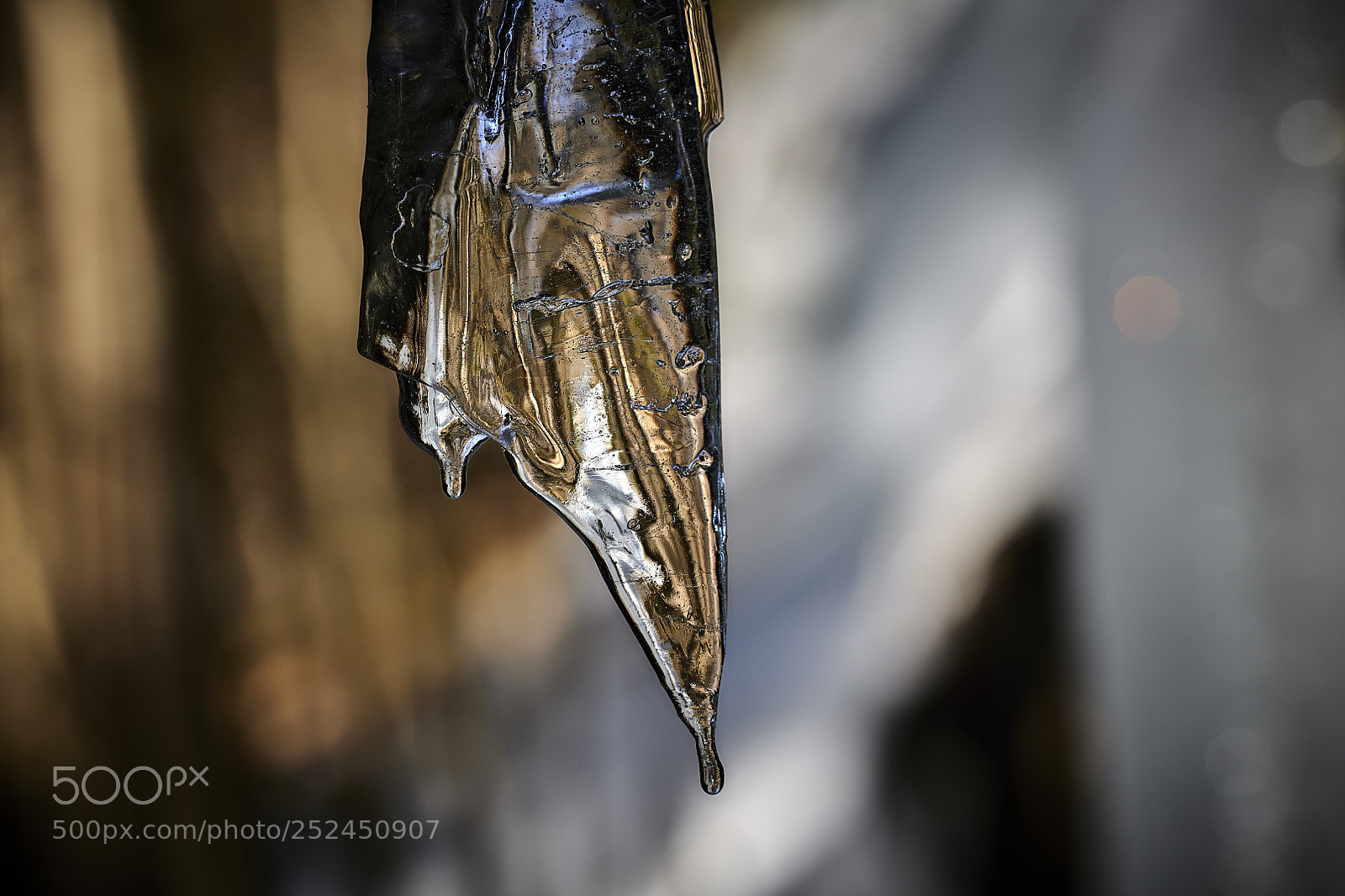 Nikon D850 sample photo. Internal reflections photography