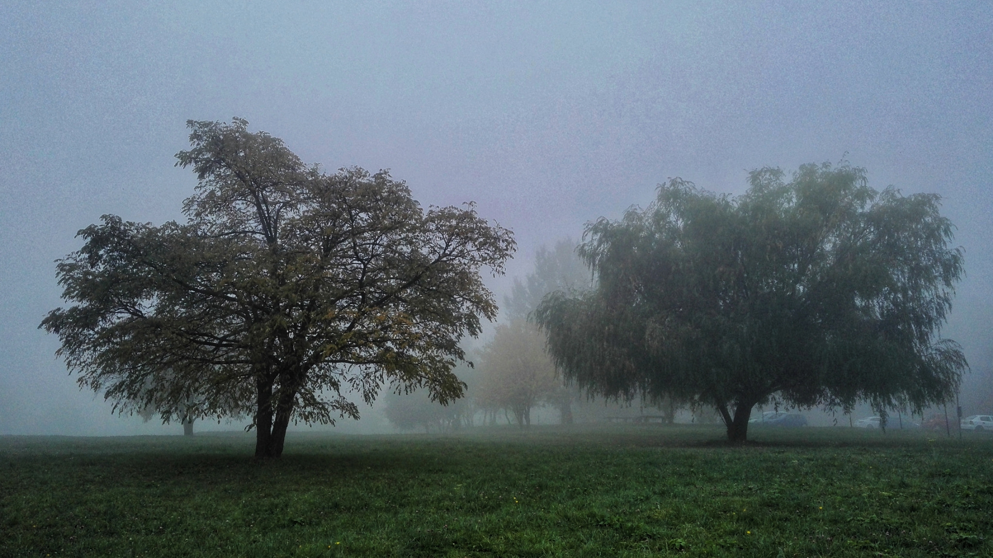 HUAWEI Honor 7 sample photo. Morning mist photography