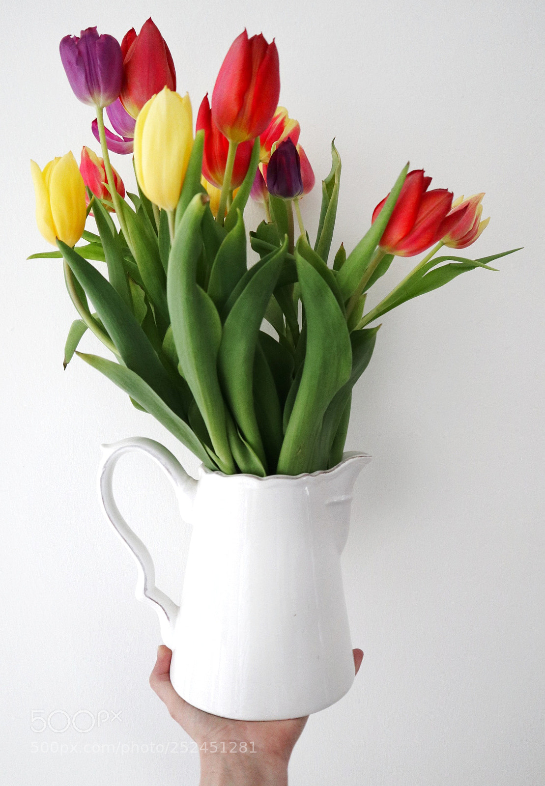 Canon EOS M6 sample photo. Spring at your fingertips photography