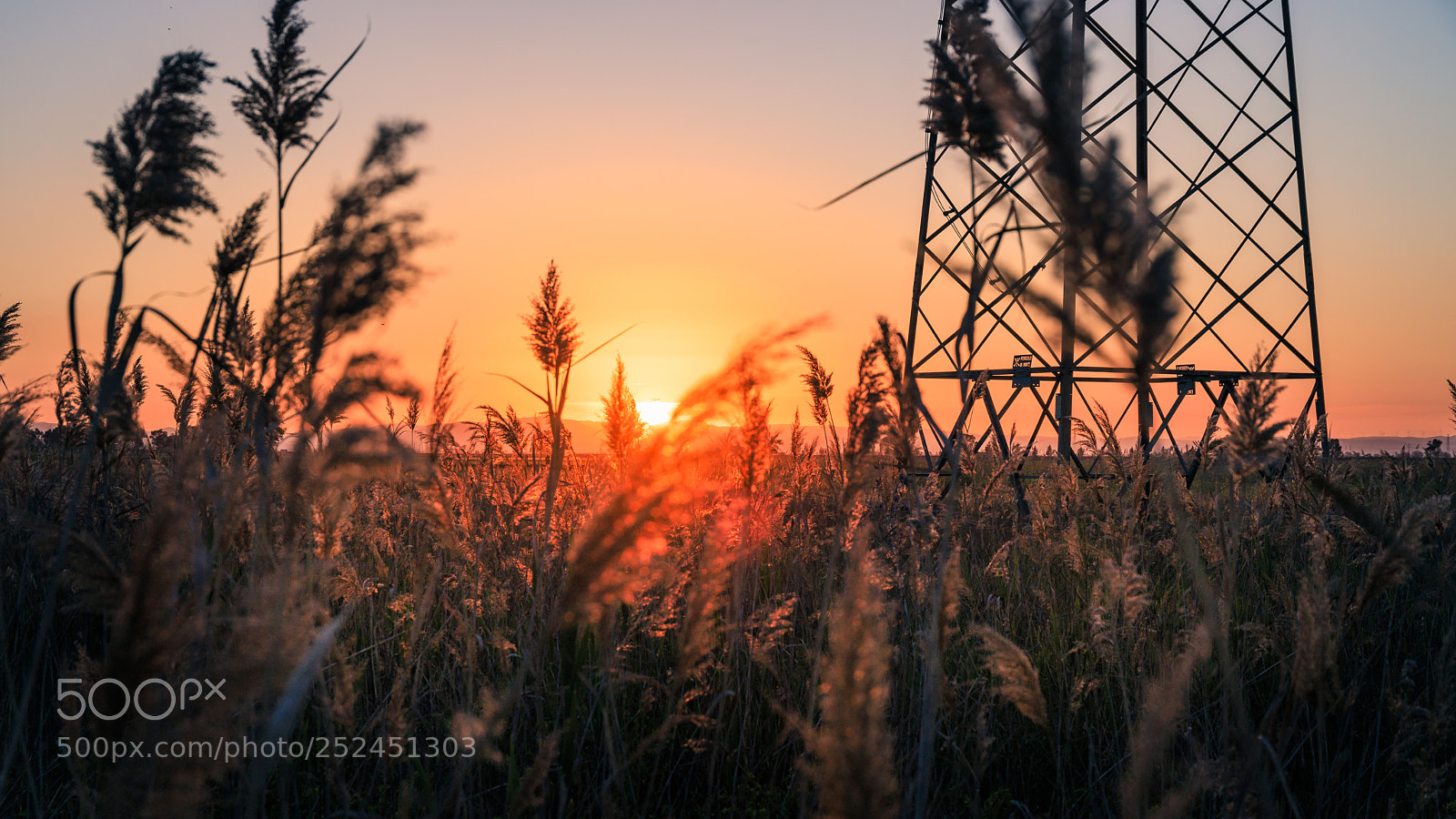 Canon EOS 6D Mark II sample photo. Strange frequencies photography