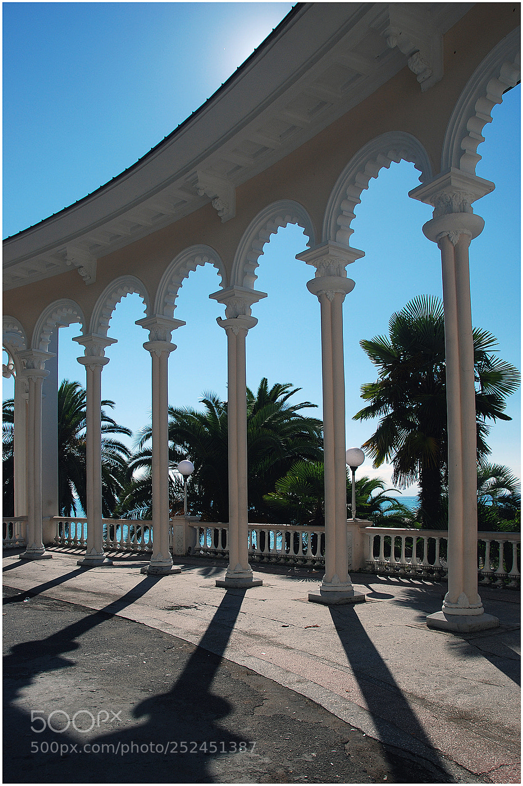 Nikon D80 sample photo. X photography