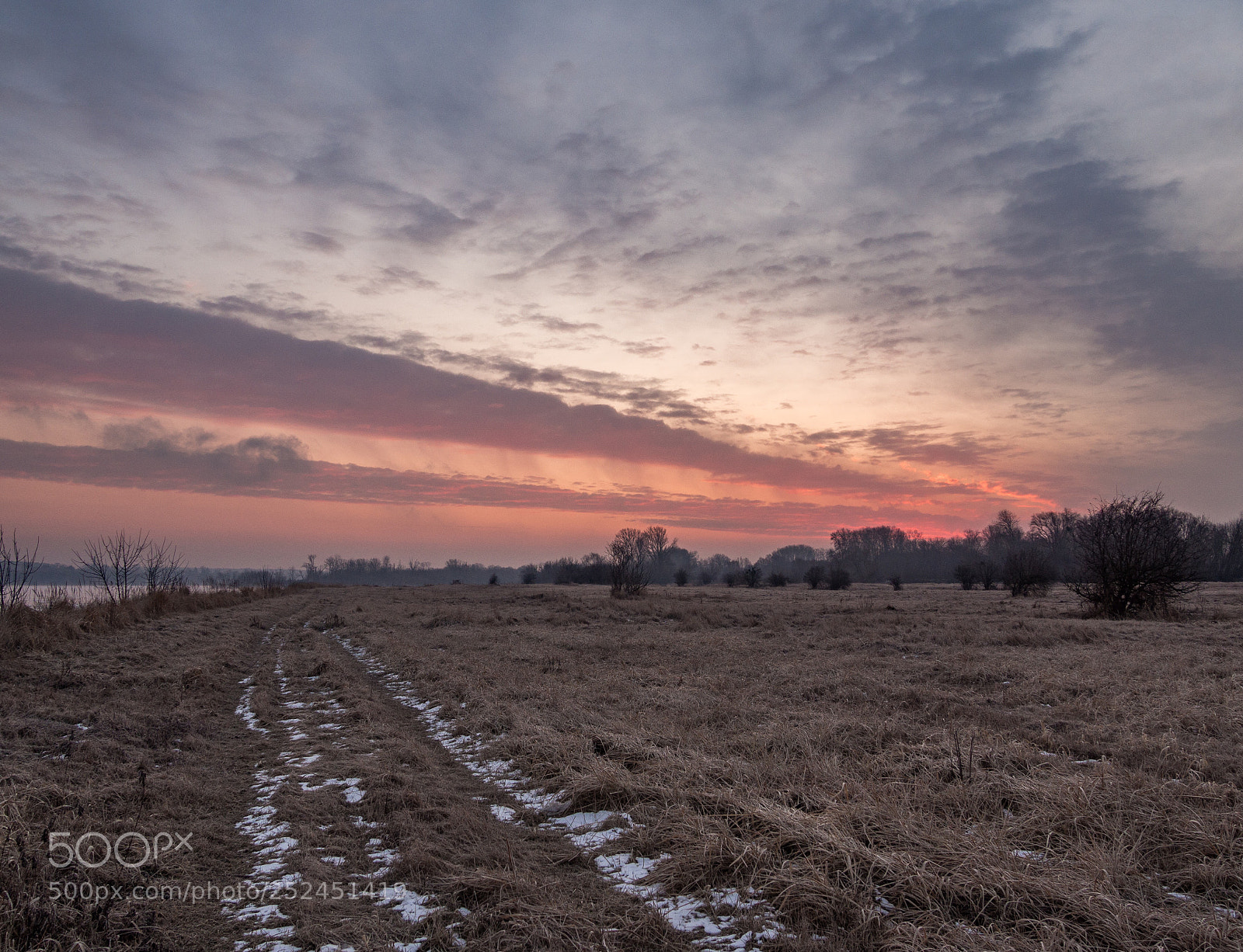 Olympus OM-D E-M10 II sample photo. Sunfield photography