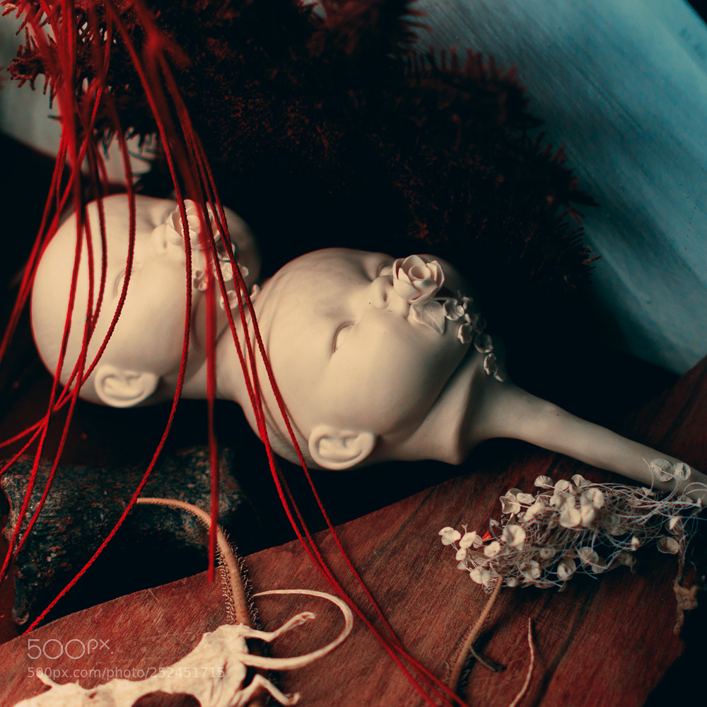 Nikon D5600 sample photo. Doll heads photography