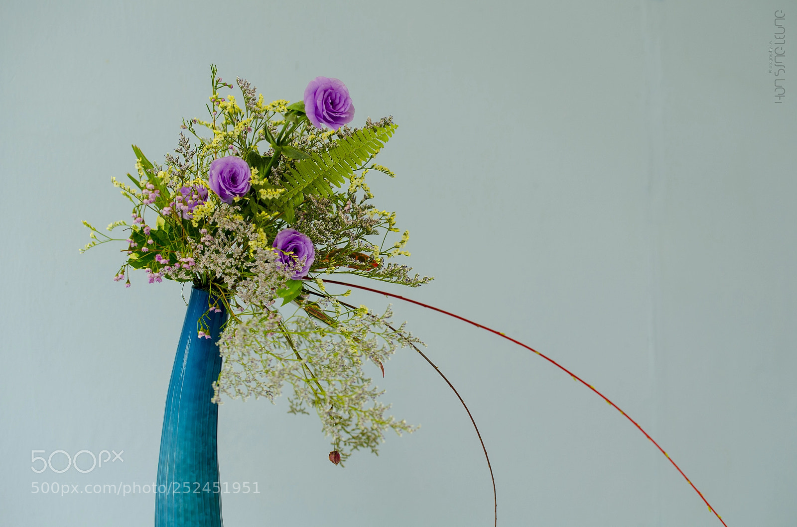 Nikon D7000 sample photo. Curves photography