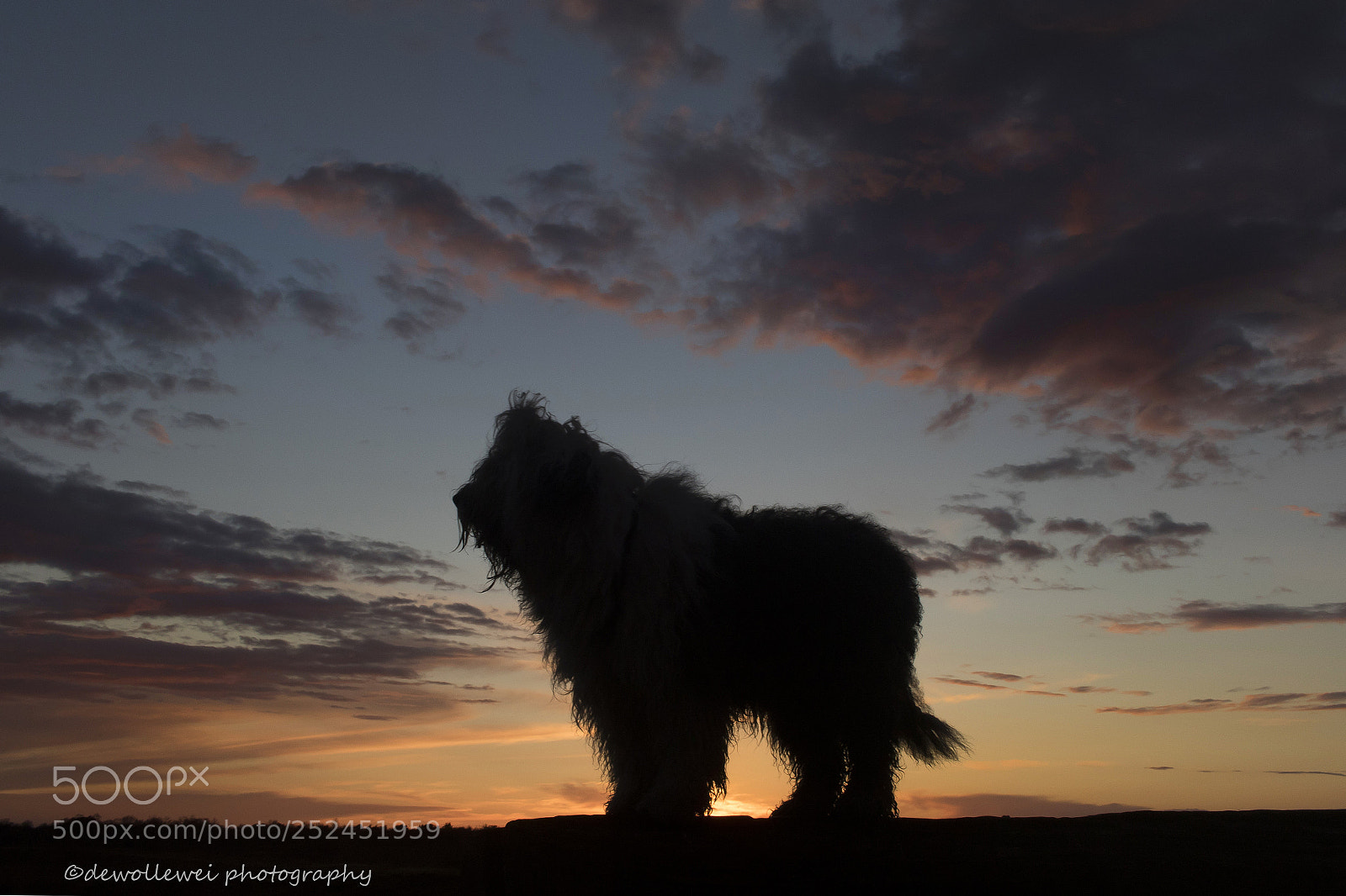 Canon EOS 7D Mark II sample photo. Enjoy every sunset, look photography