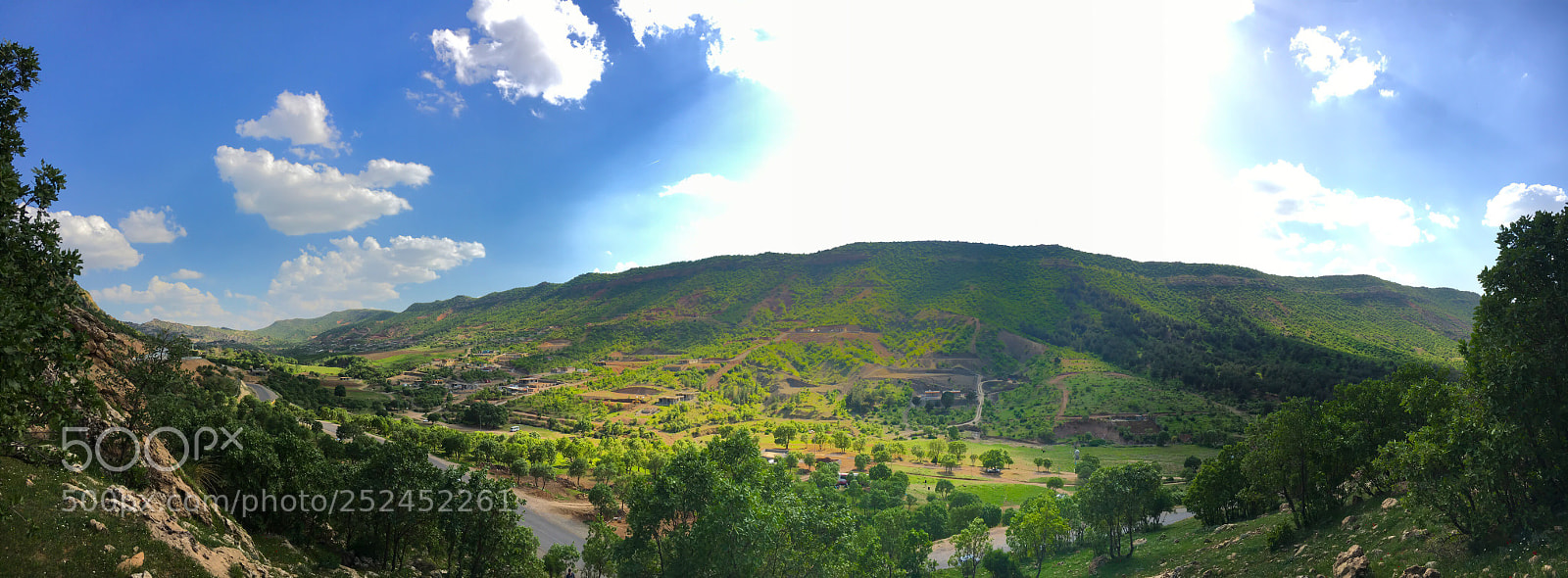 Apple iPhone 6s sample photo. Spring’s beauty  photography