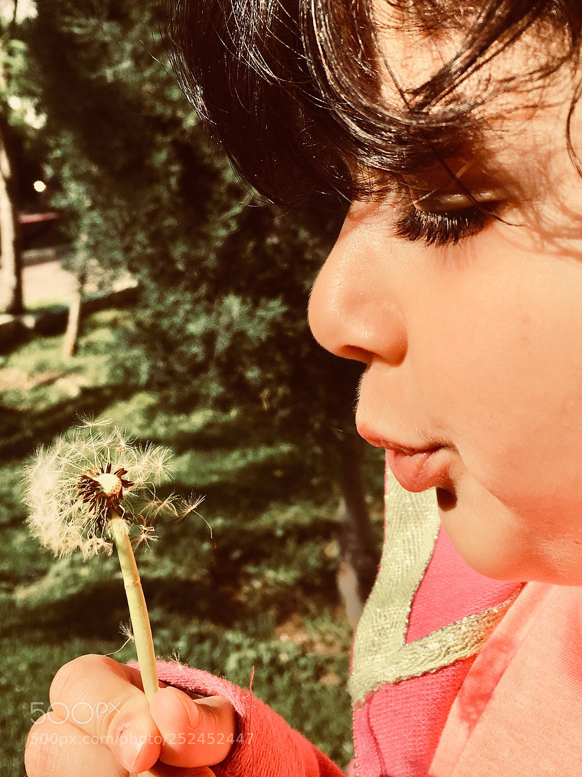 Apple iPhone 6s sample photo. Dandelion flower  photography