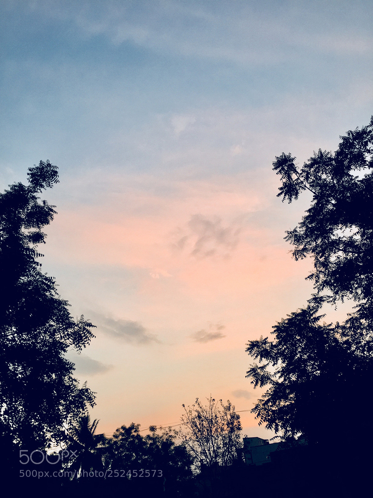 Apple iPhone 6 sample photo. Untitled photography