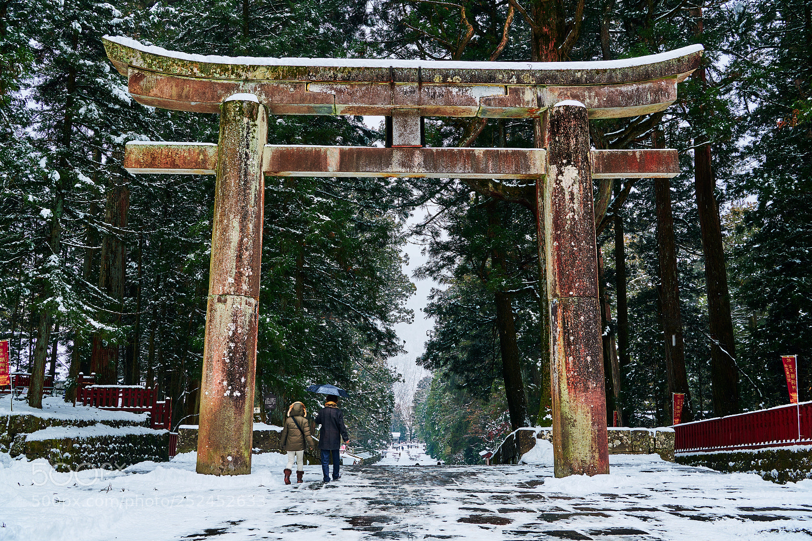Nikon D850 sample photo. Return trip photography