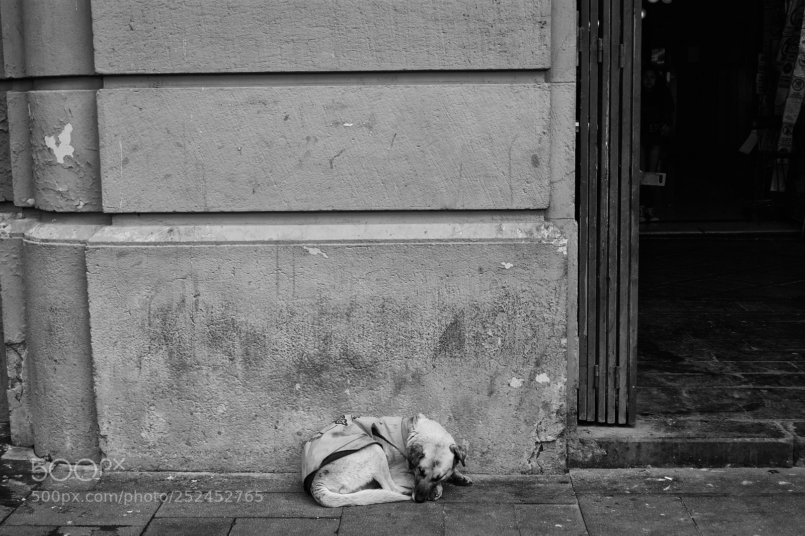 Sony Alpha DSLR-A290 sample photo. Santiago de chile photography
