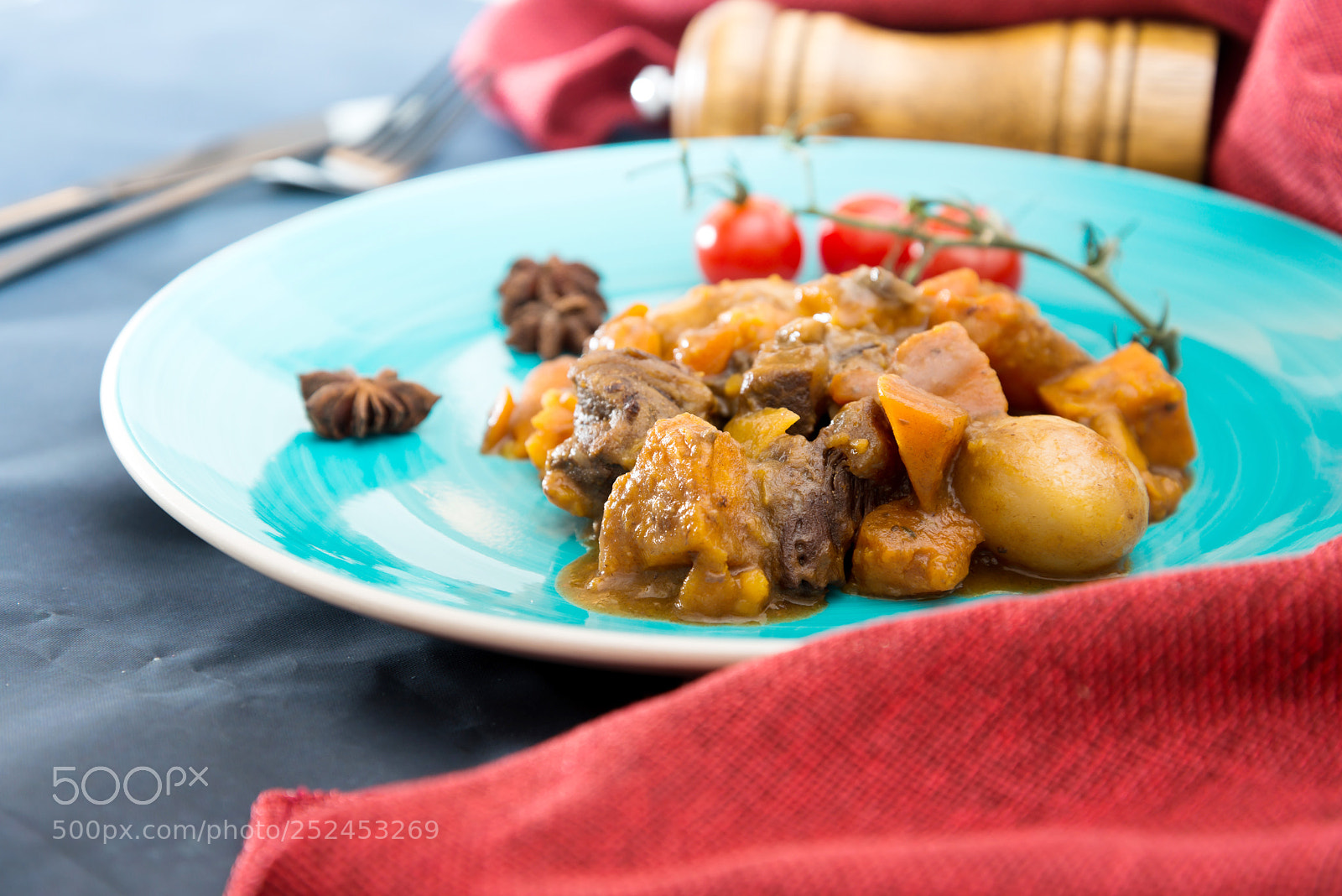 Nikon D800 sample photo. Beef stewed and carrots photography