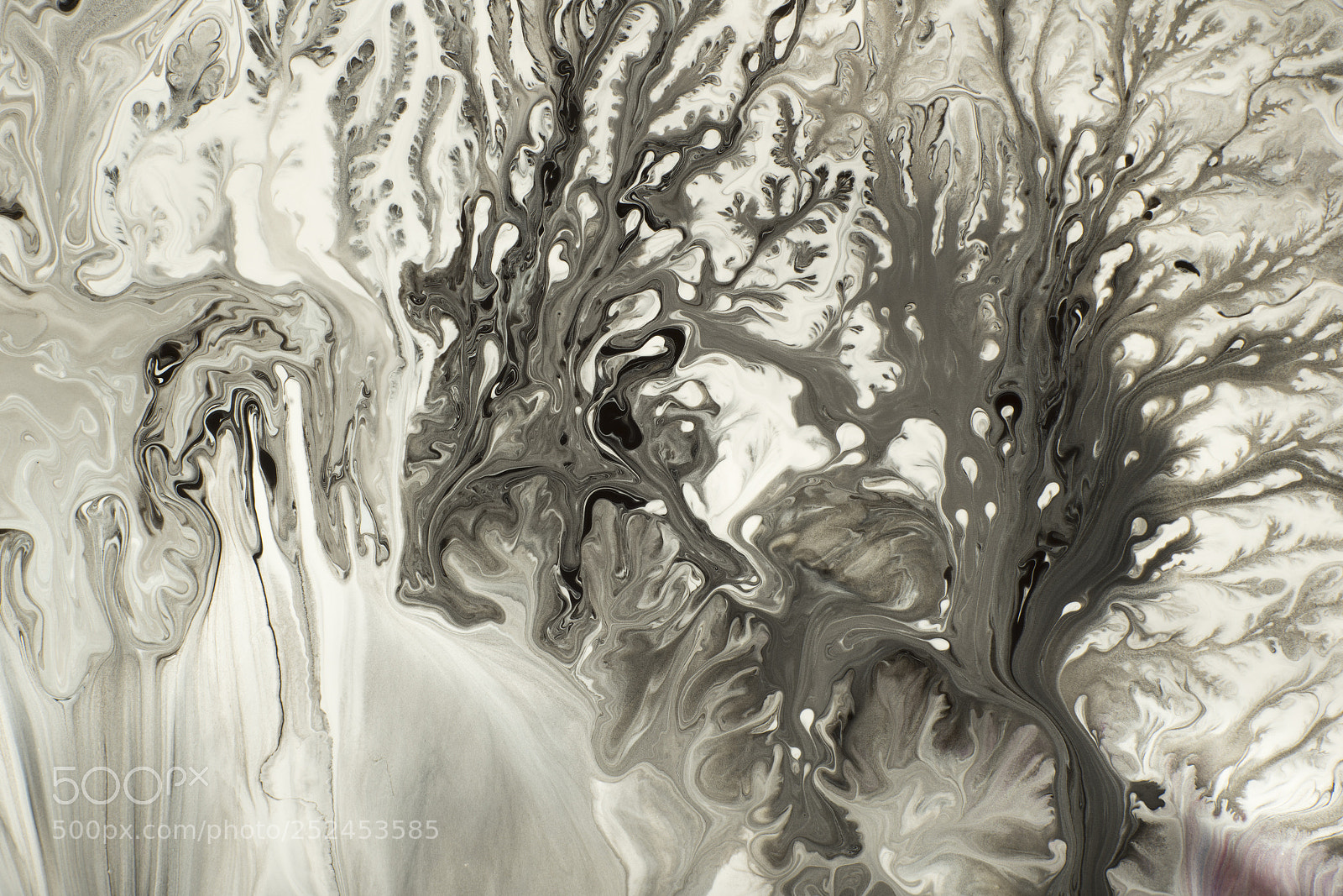 Sony a7R sample photo. Plate 7247 photography
