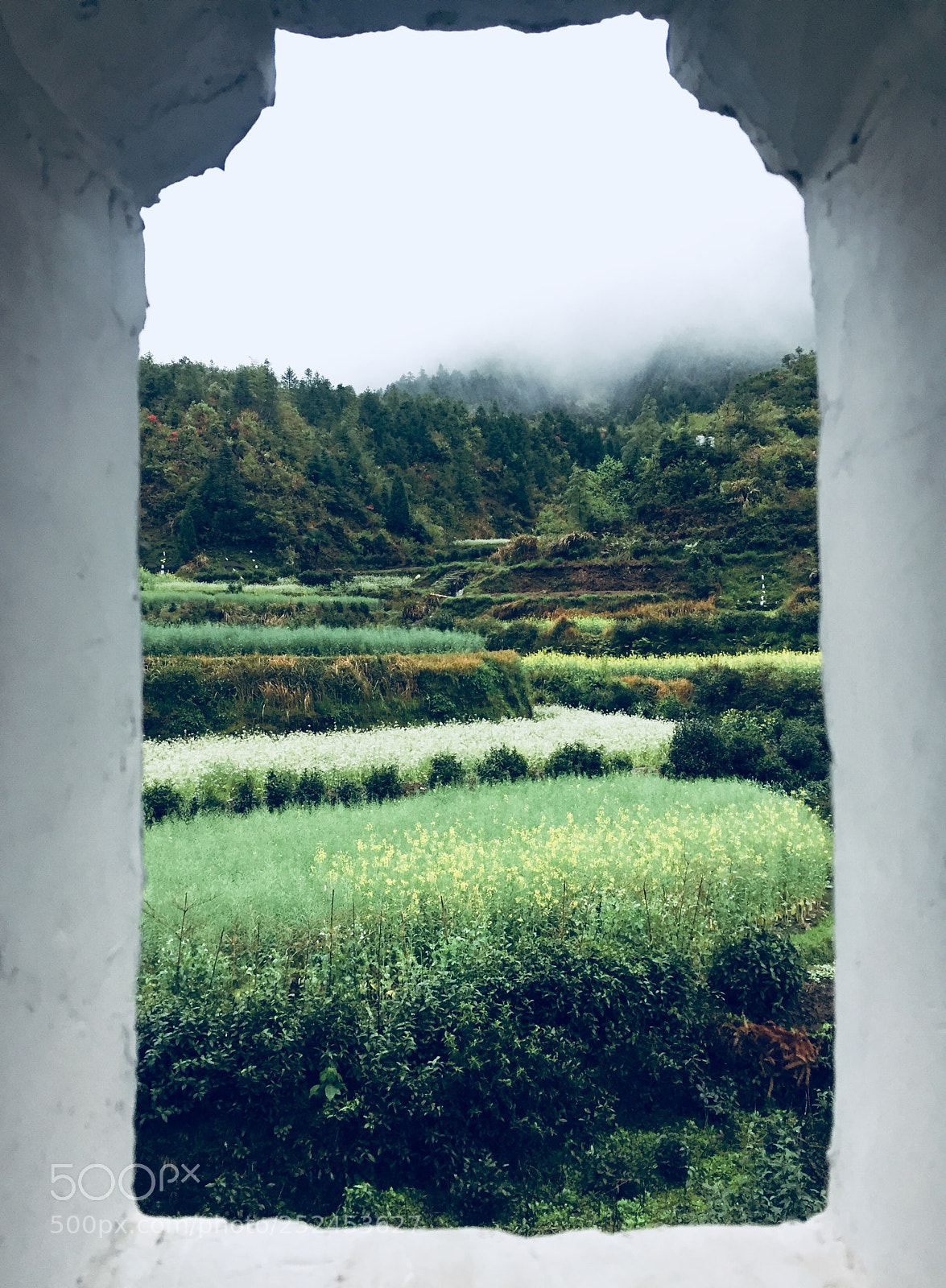 Apple iPhone 6 sample photo. Untitled photography