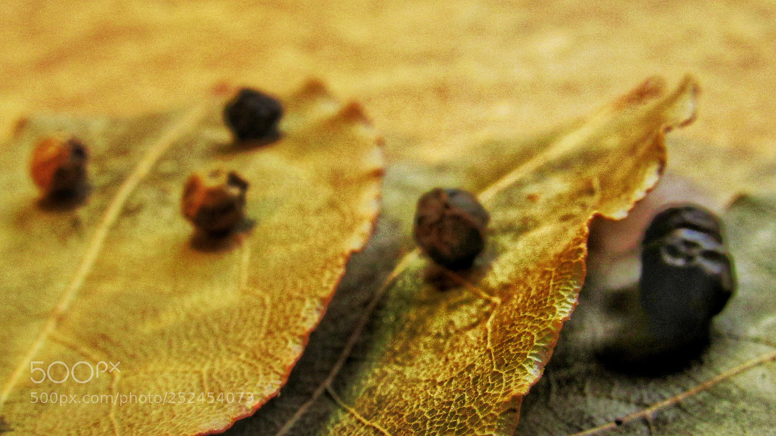 Canon PowerShot SX530 HS sample photo. On the edge photography