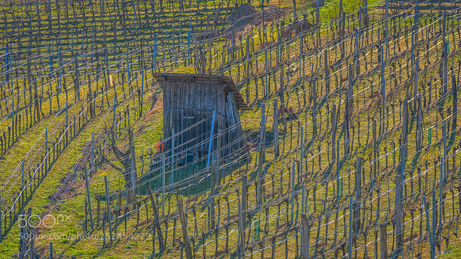 Sony a7R II sample photo. This is the wachau photography