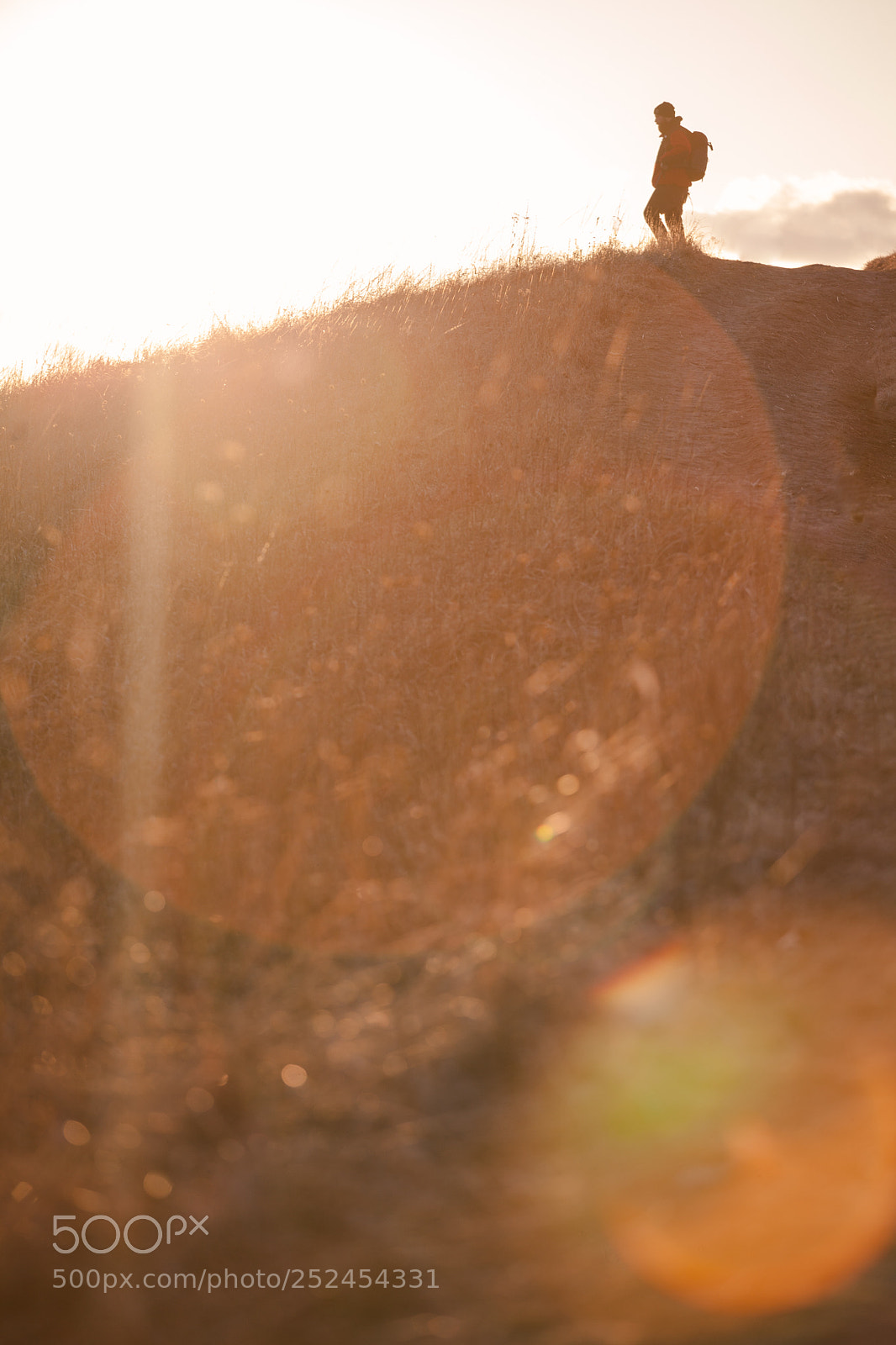 Canon EOS 5D Mark II sample photo. Explore photography