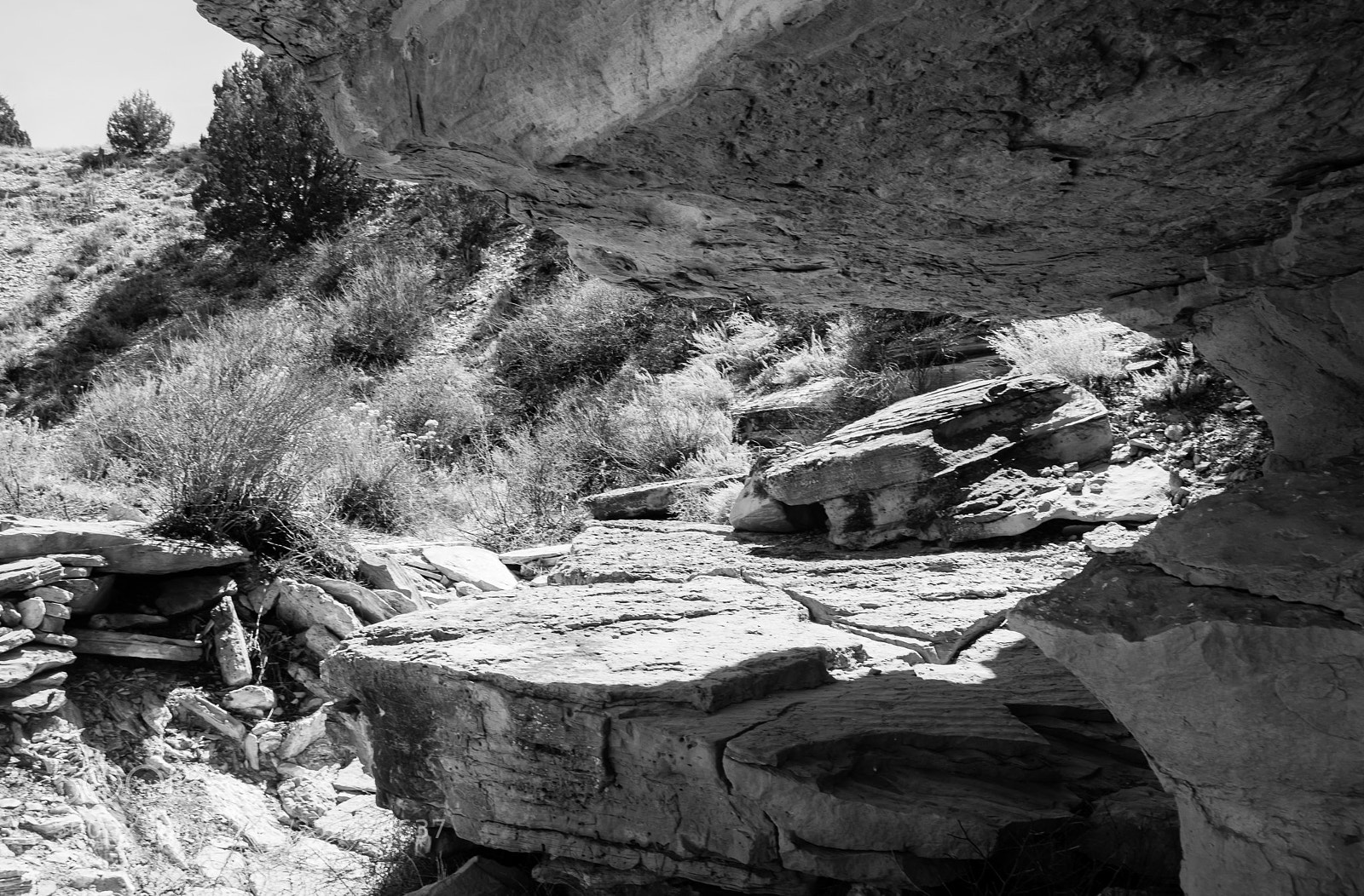 Nikon D7100 sample photo. Southern colorado hiking trail photography