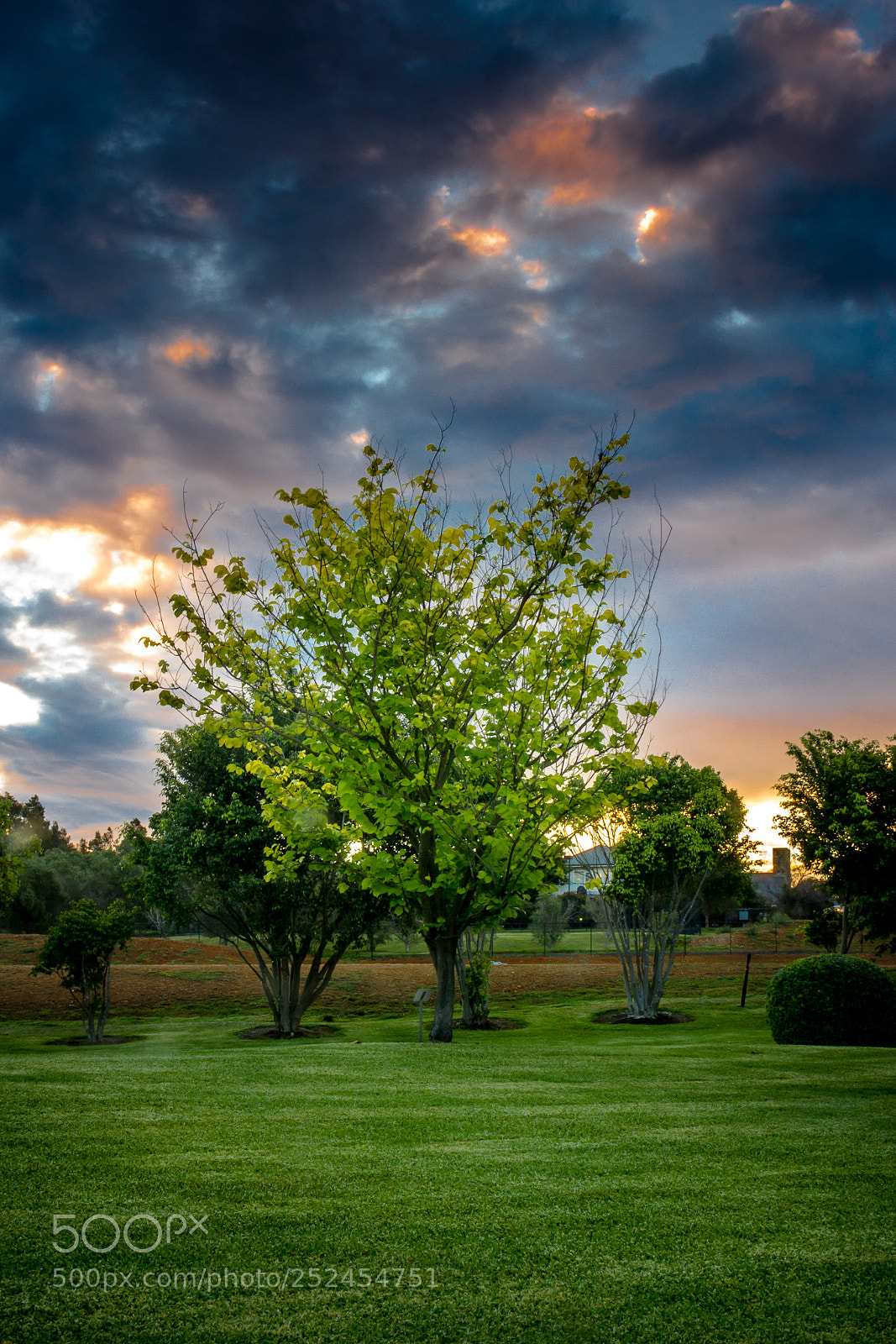 Canon EOS 60D sample photo. Secret garden photography