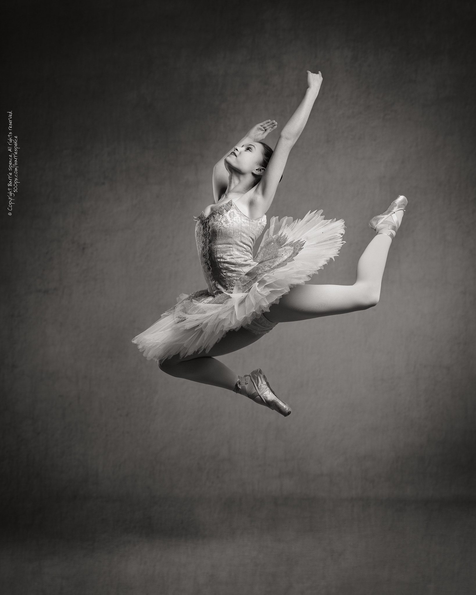 Hasselblad H6D-50C sample photo. Errin godwin-whalley photography