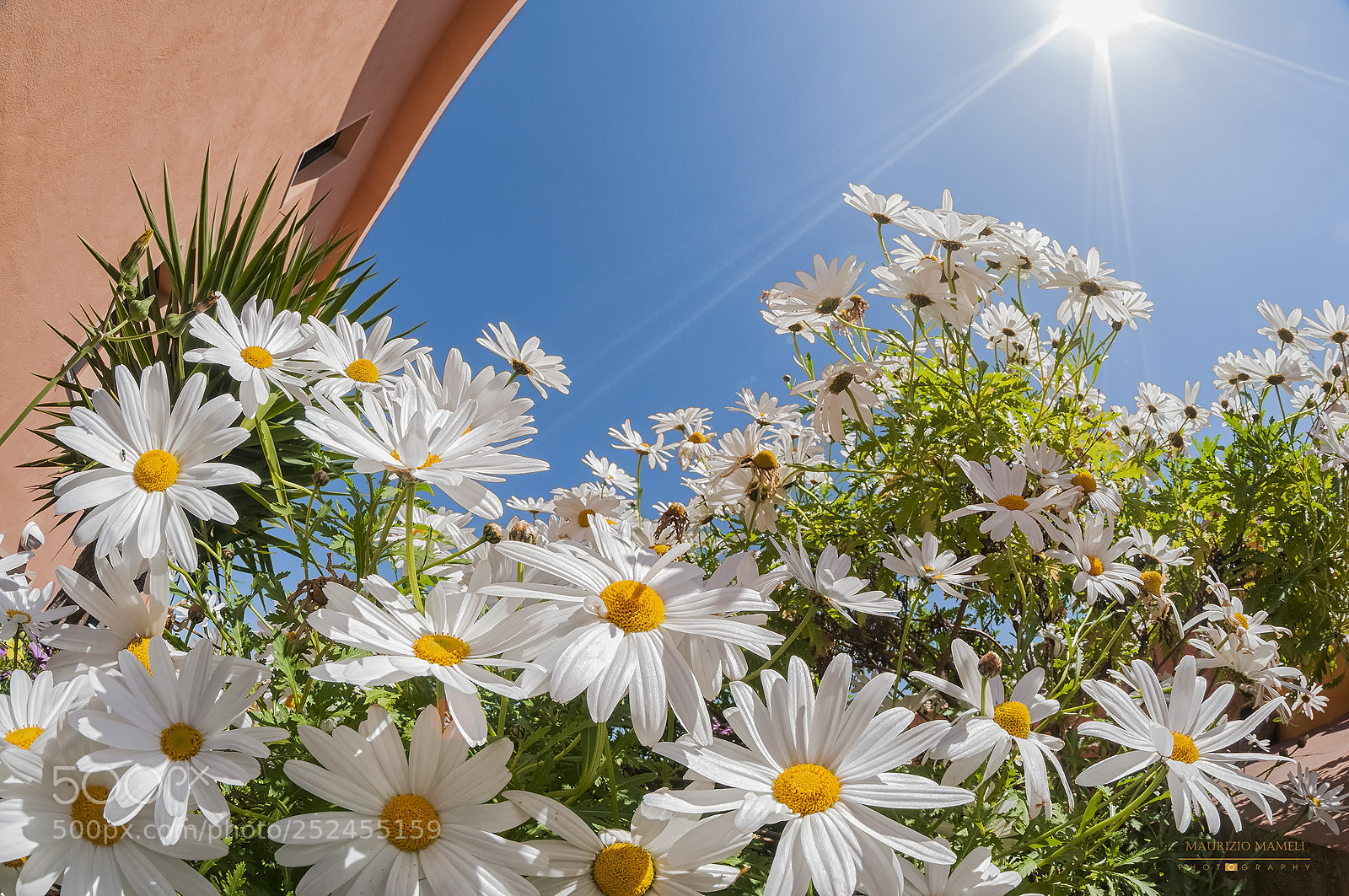 Nikon D300 sample photo. Spring photography